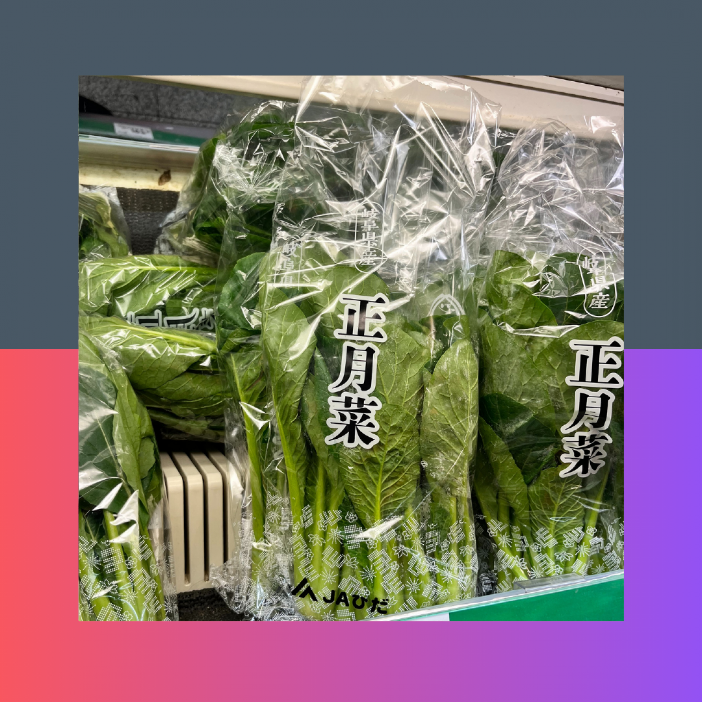 [mini] 名古屋の雑煮 episode artwork