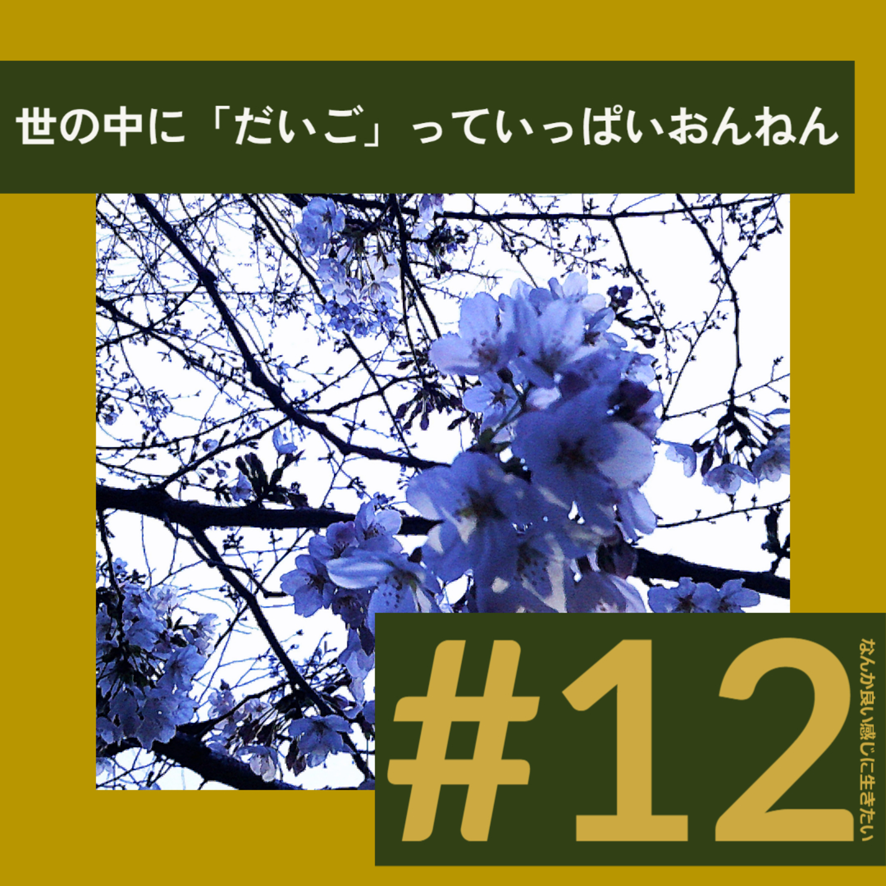 #12 世の中に「だいご」っていっぱいおんねん episode artwork