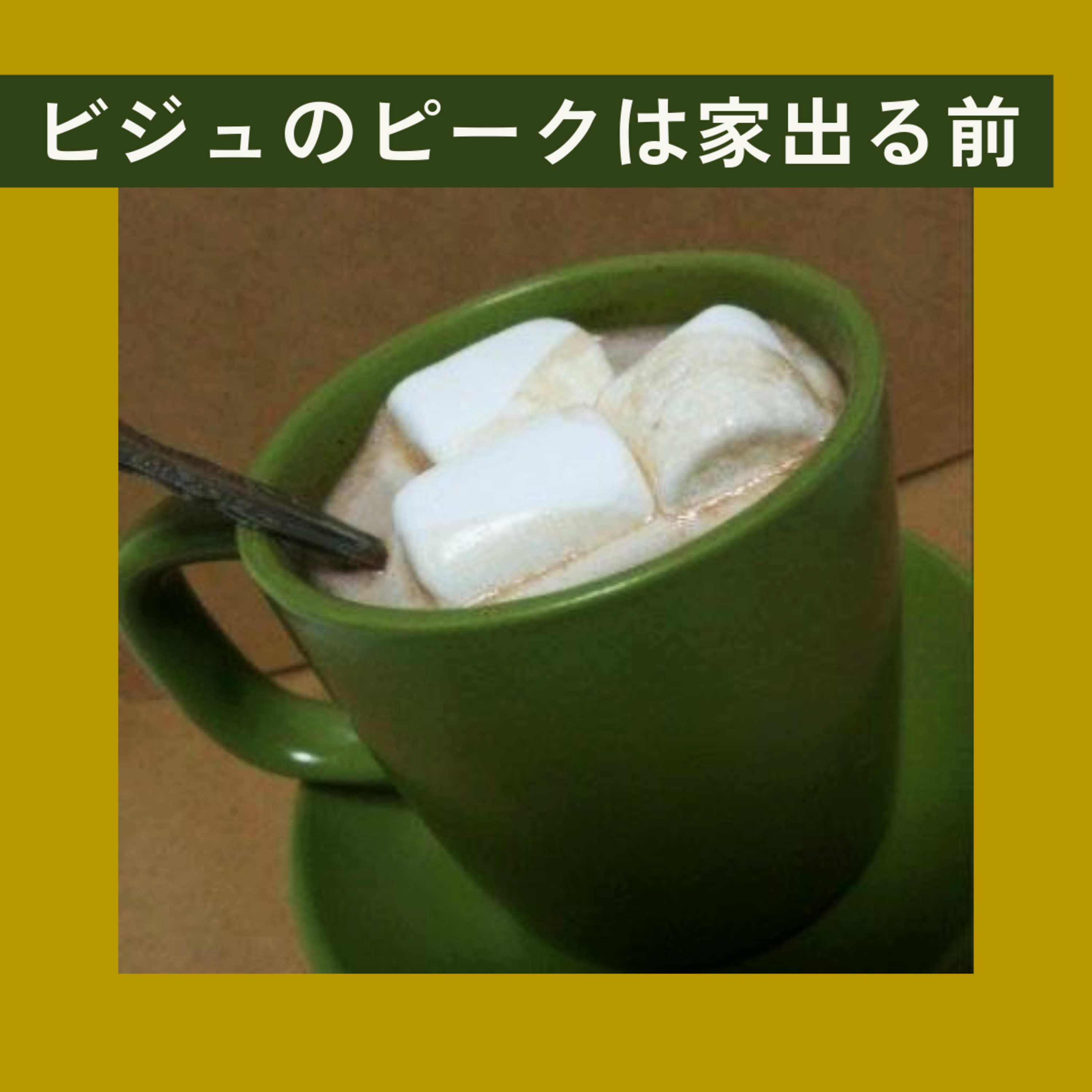 ビジュのピークは家出る前 episode artwork