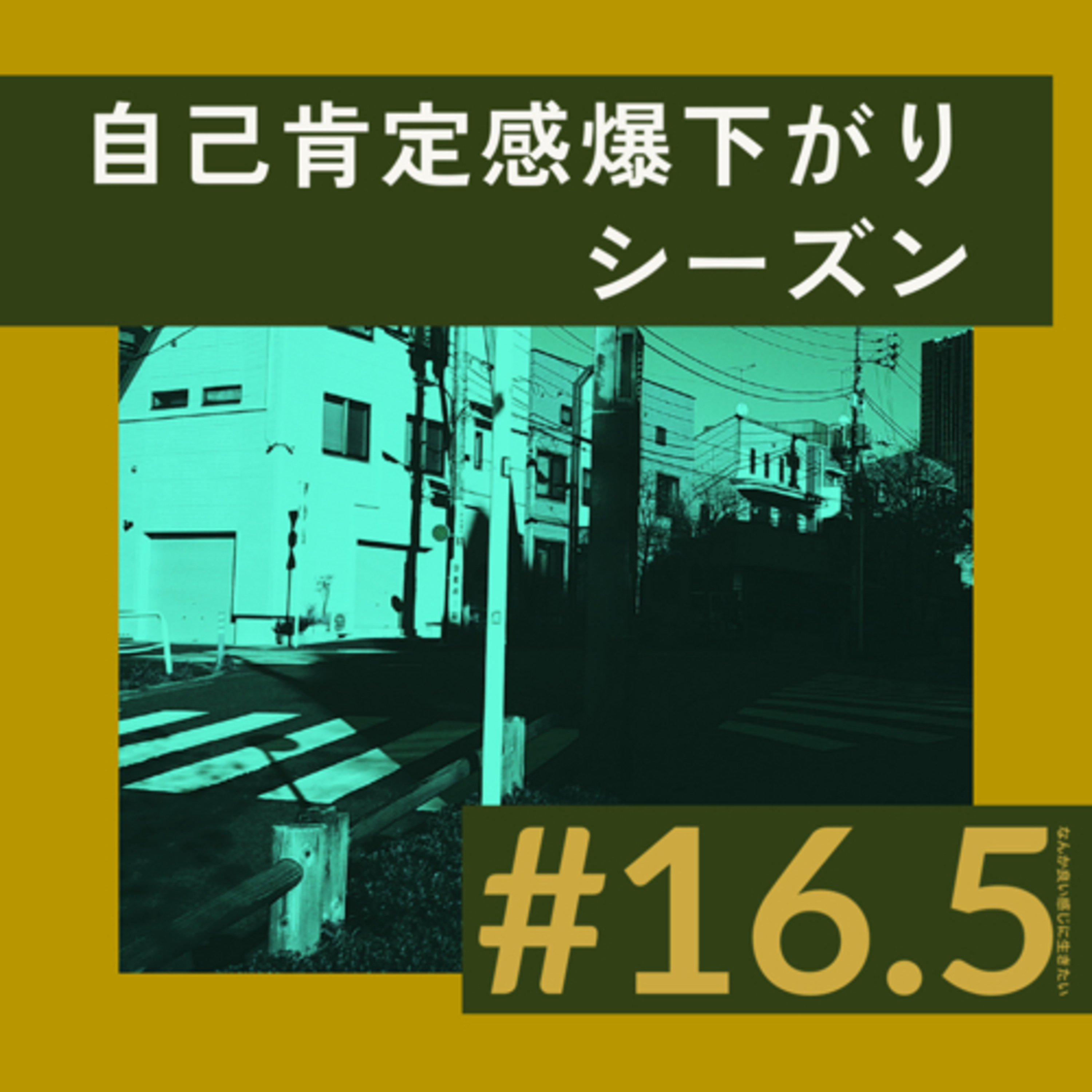 #16.5 自己肯定感爆下がりシーズン episode artwork