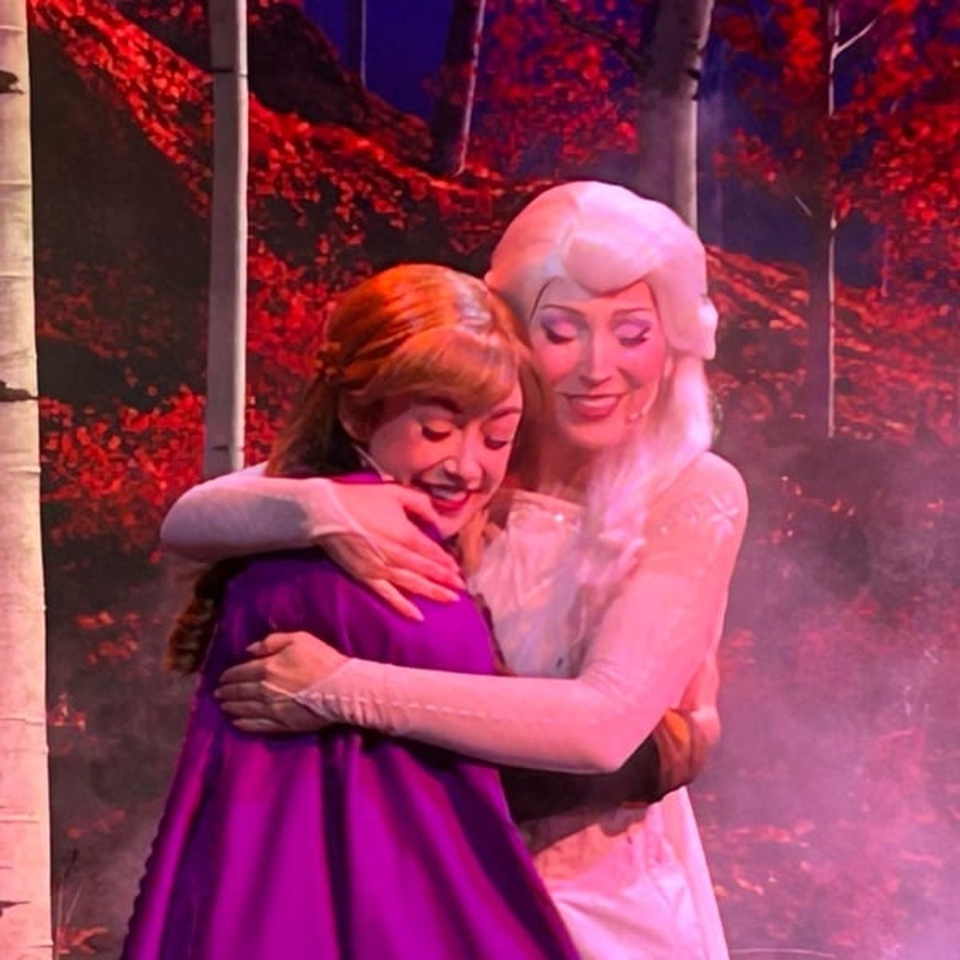 【#27距離ちか！】プレイハウスインザウッズ【香港ディズニー旅行記】