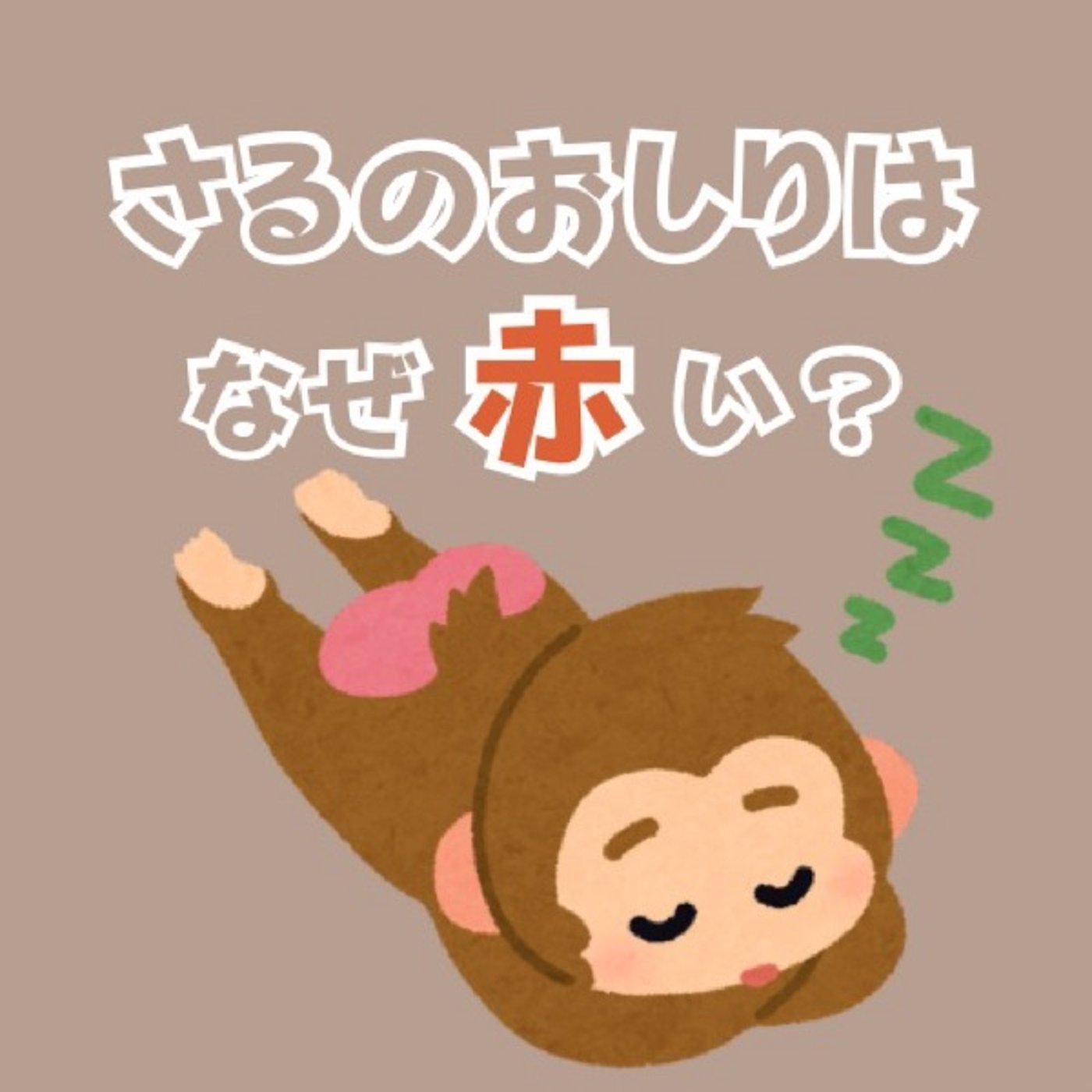 【おやすみ絵本】さるのおしりはなぜ赤い？