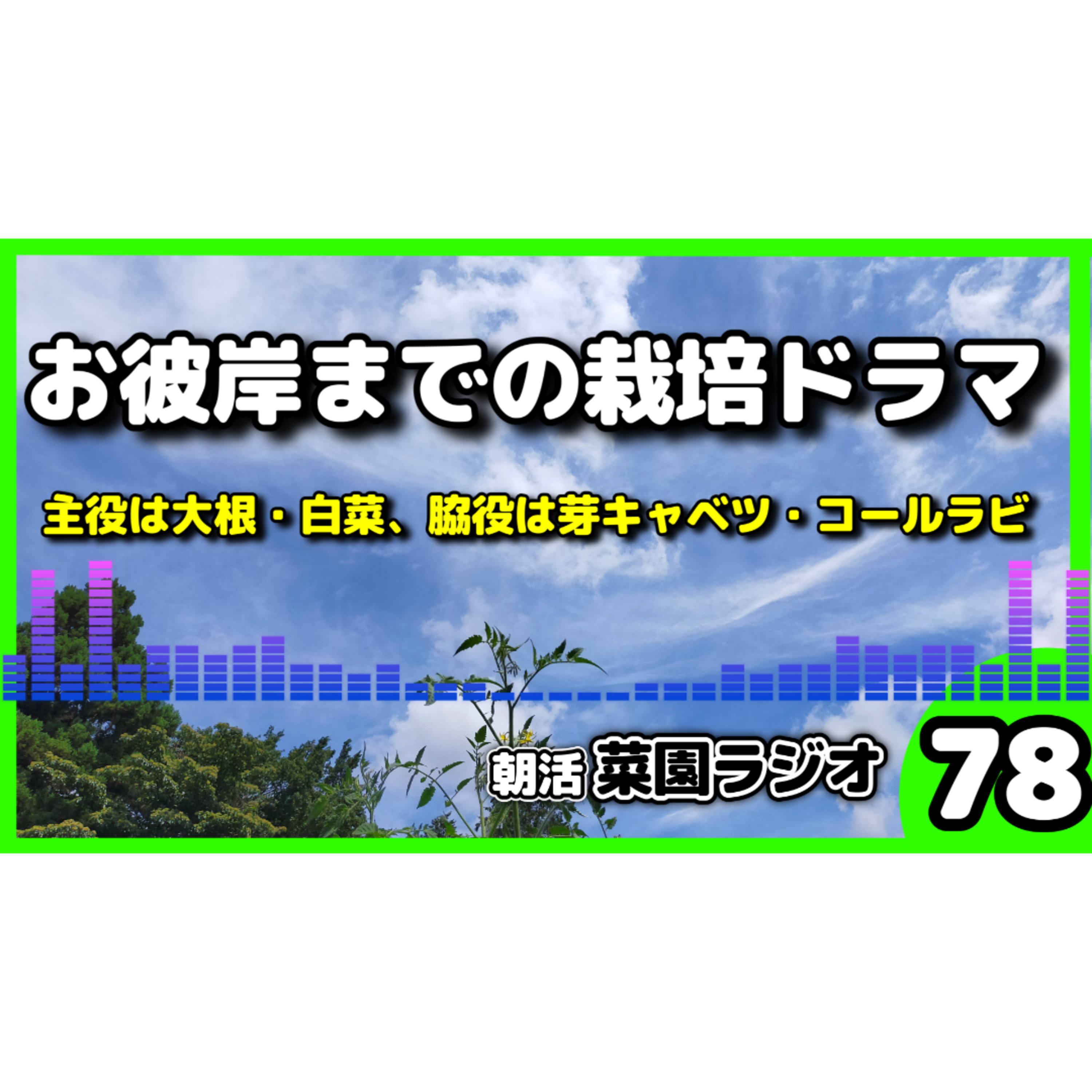 ＜今蒔かないと後悔する＞秋菜園の「主役５選」と育てて楽しい「マニアック脇役野菜」 episode artwork