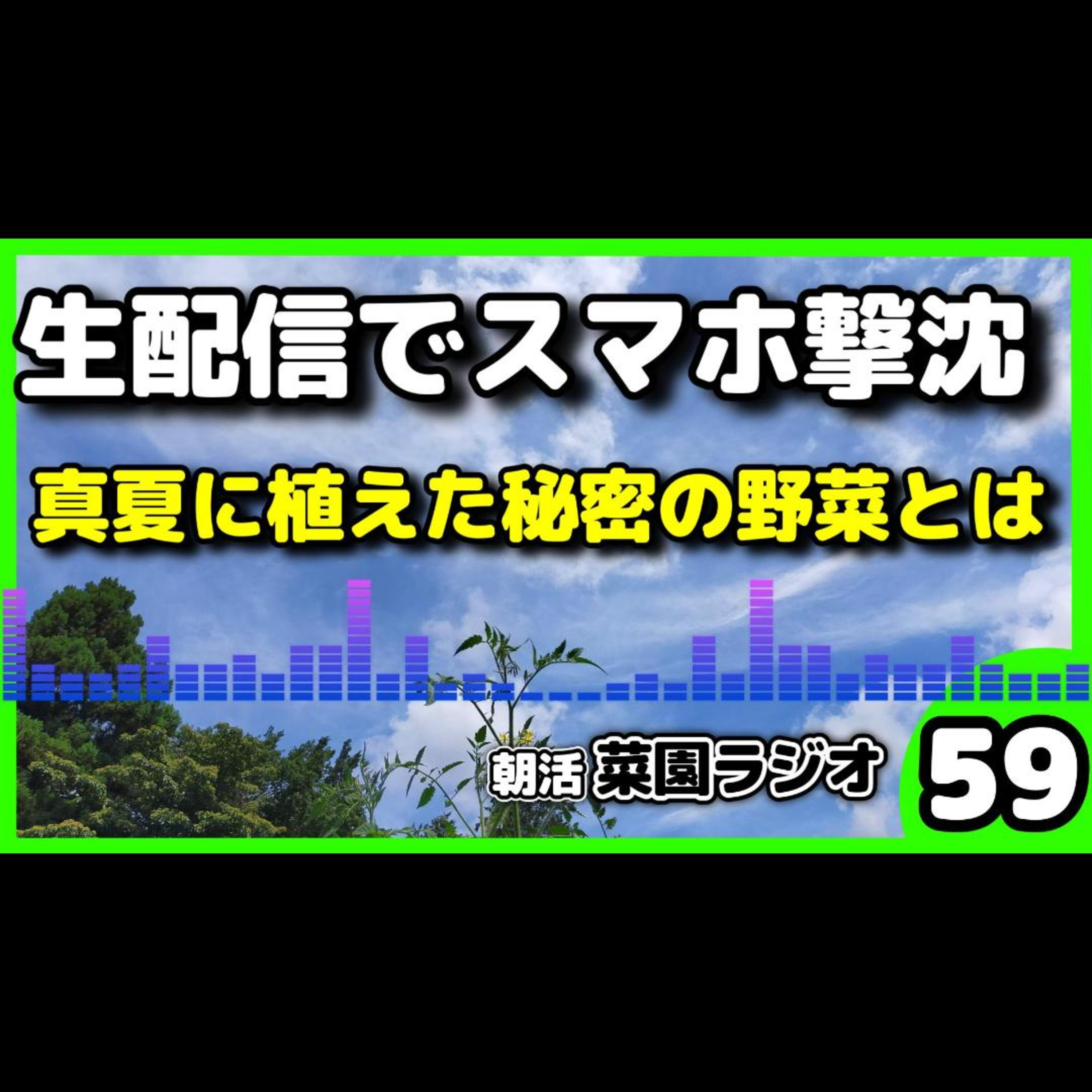 ＜悲報＞真夏の畑生配信でスマホが死亡、熱暴走と真っ黒画面を生き残る「猛暑対策」とは？【朝活菜園ラジオ】 episode artwork