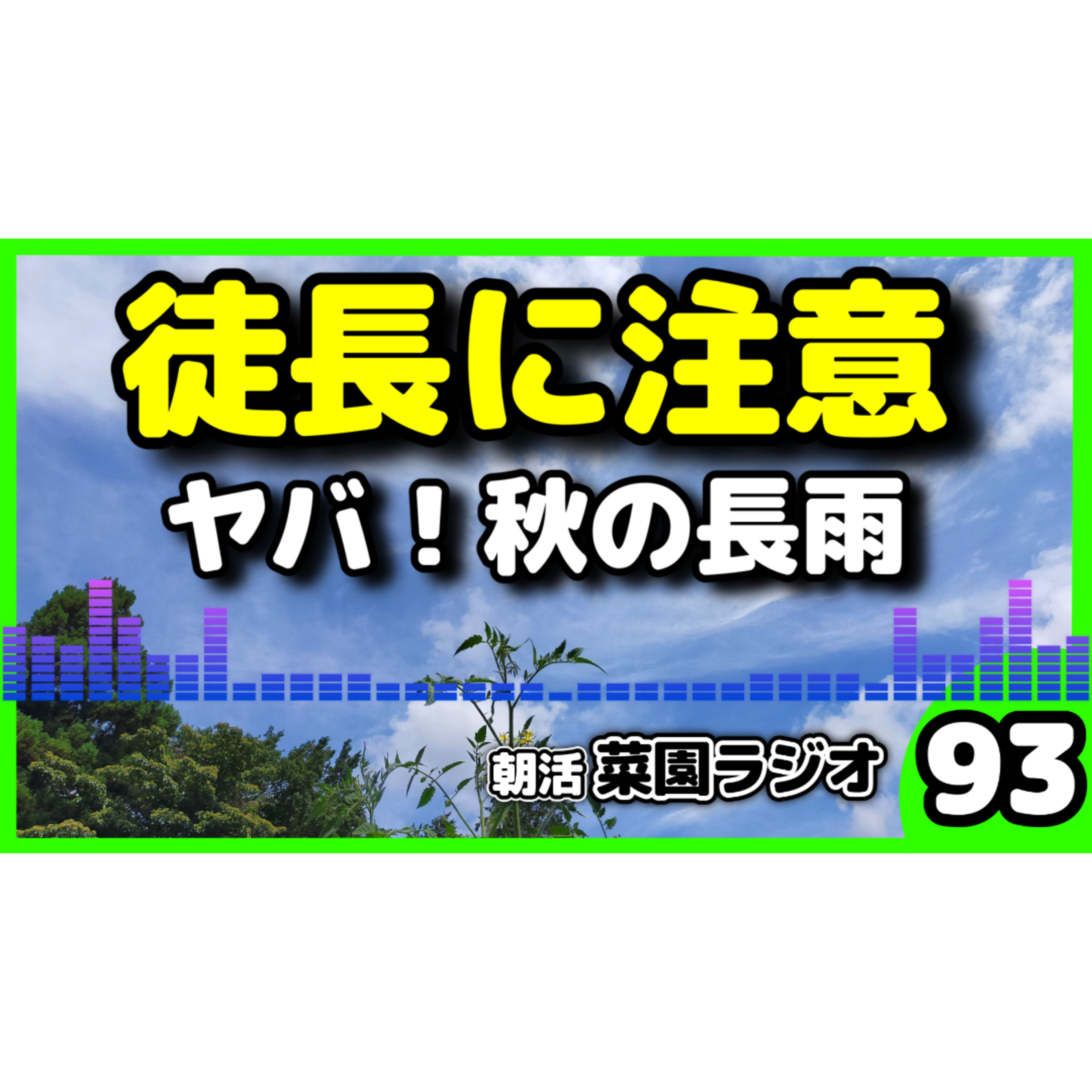 秋の長雨、徒長に注意【朝活菜園ラジオ】 episode artwork