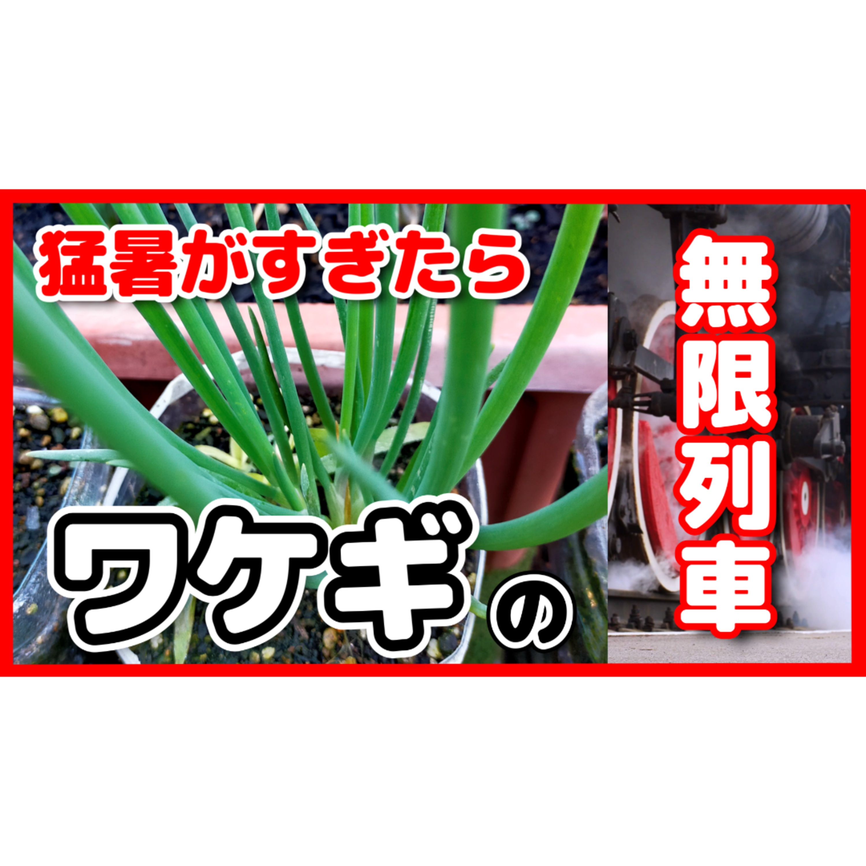 【初心者におすすめ】猛暑が過ぎたらワケギ!コスパ良すぎの無限列車 episode artwork