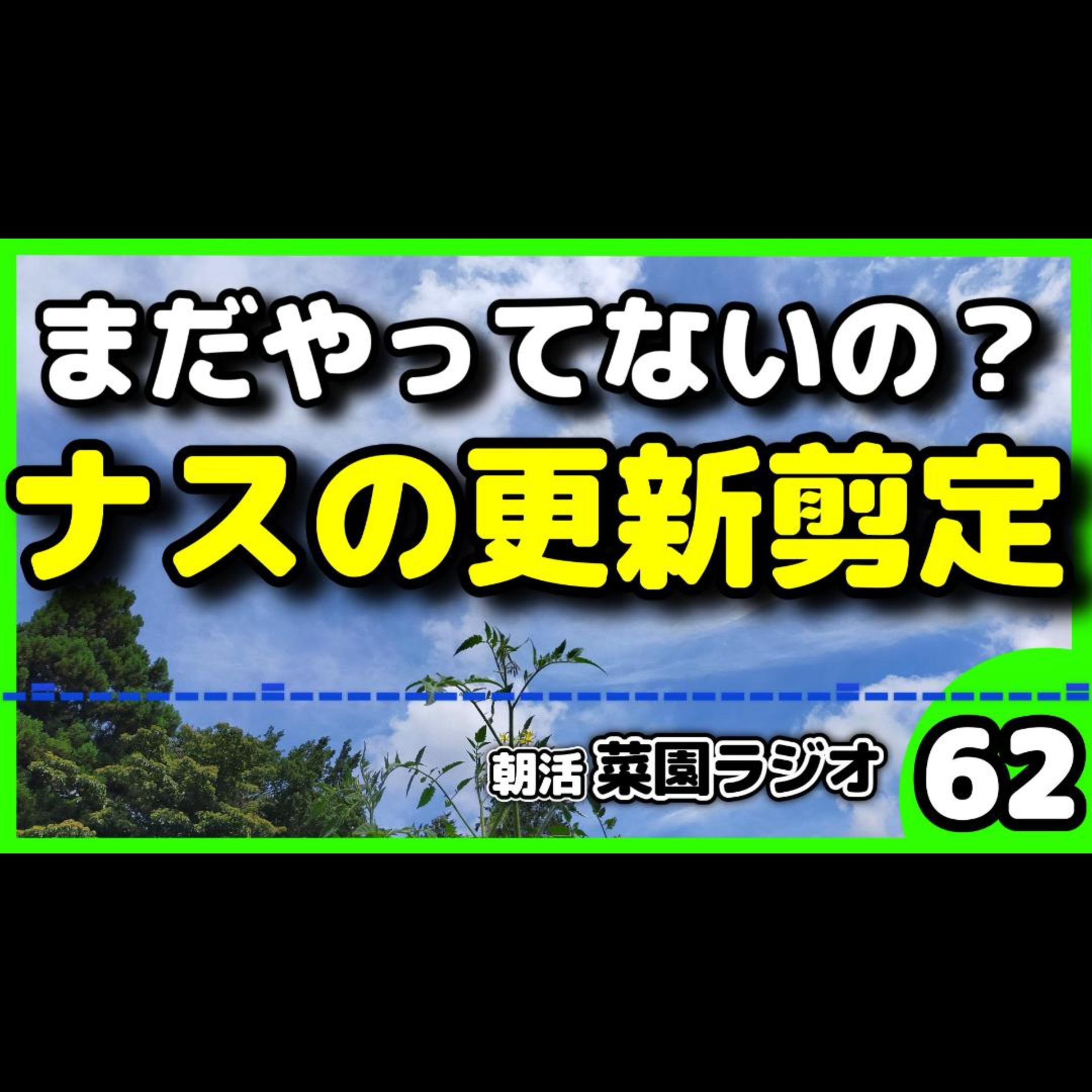 ＜まだ切ってない人は急げナス＞ラストチャンスだ更新剪定＆絶対に混ぜたい追肥とは？【朝活菜園ラジオ】 episode artwork