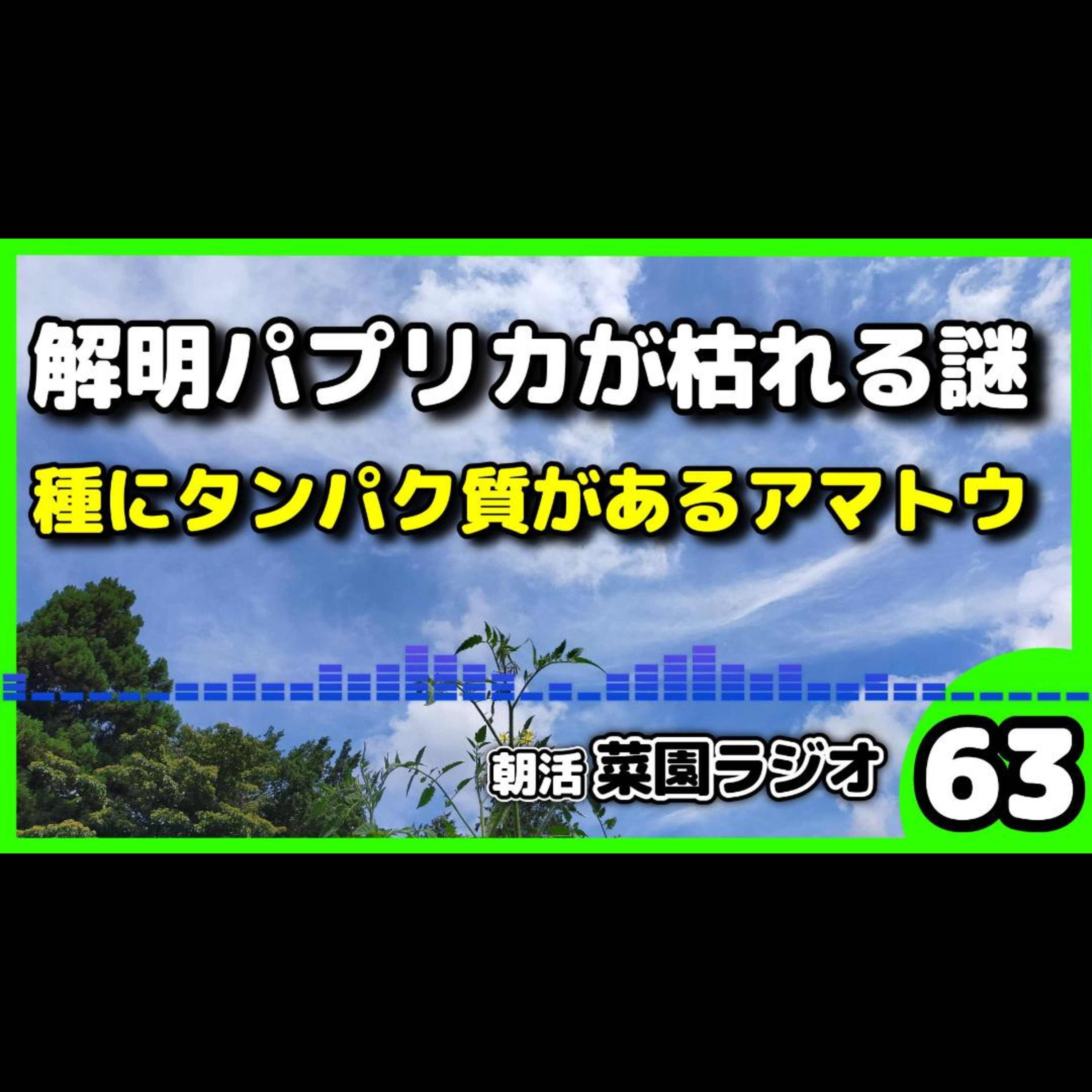 ＜なぜパプリカは失敗する？＞けどピーマンとアマトウは爆ってる【朝活菜園ラジオ】 episode artwork