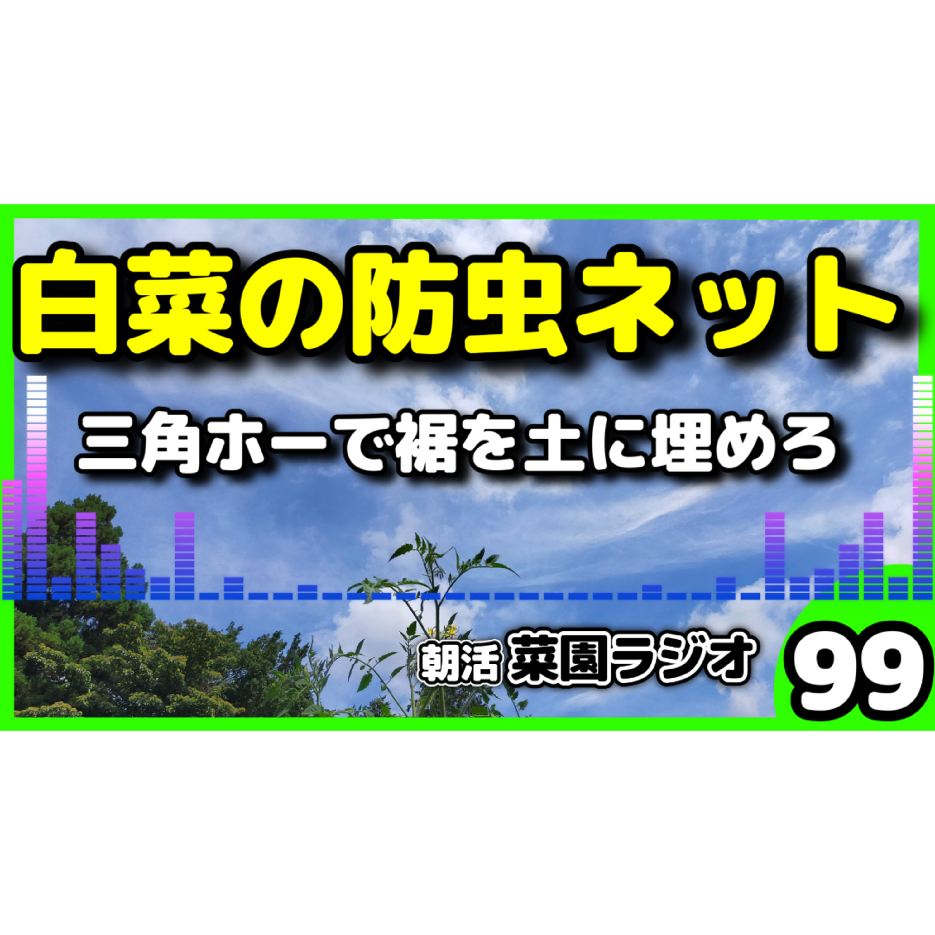 三角ホー白菜の畝は防虫ネットの裾を埋めろ【朝活菜園ラジオ】 episode artwork