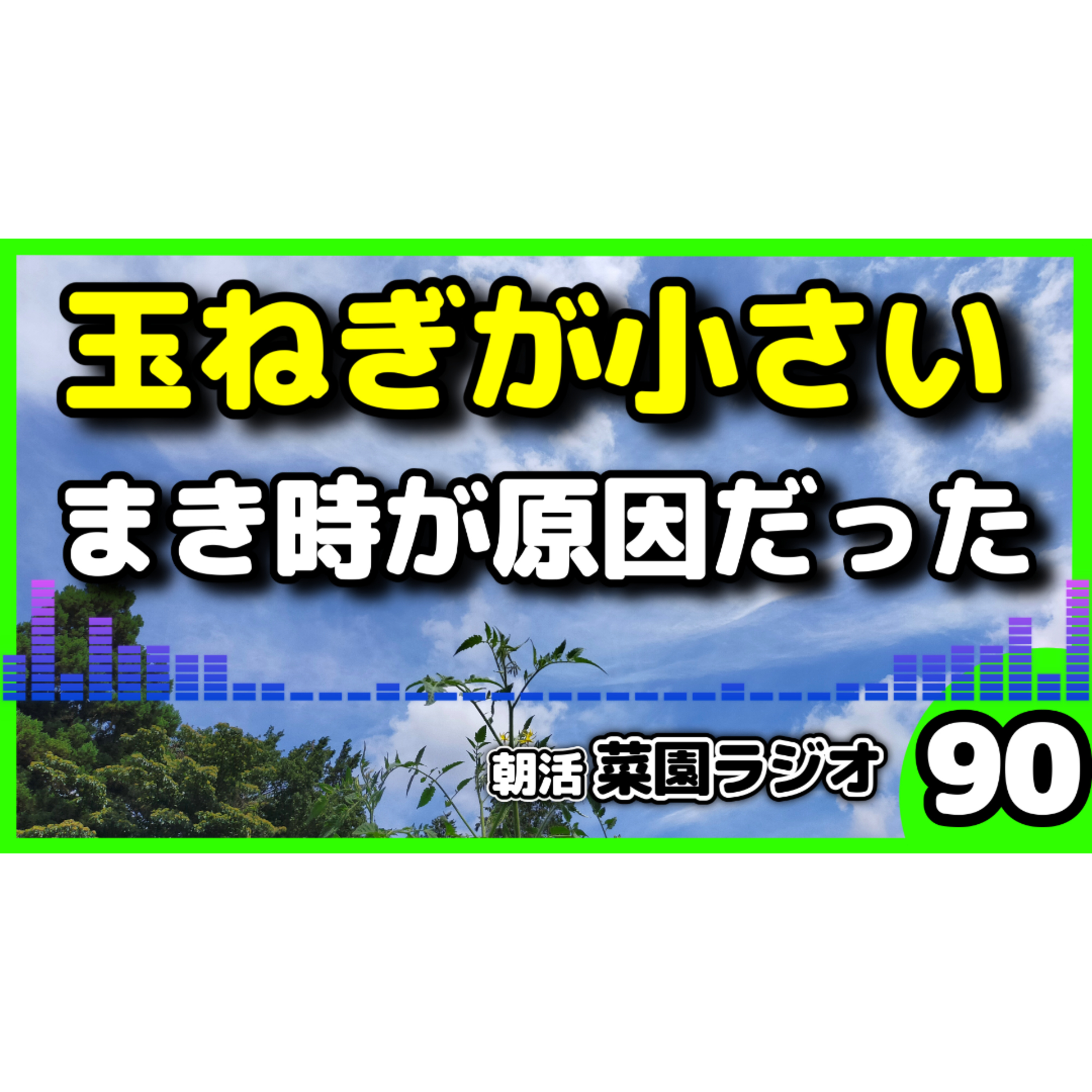 玉ねぎが小さいまま冬を迎える。原因は種まき時期【朝活菜園ラジオ】 episode artwork