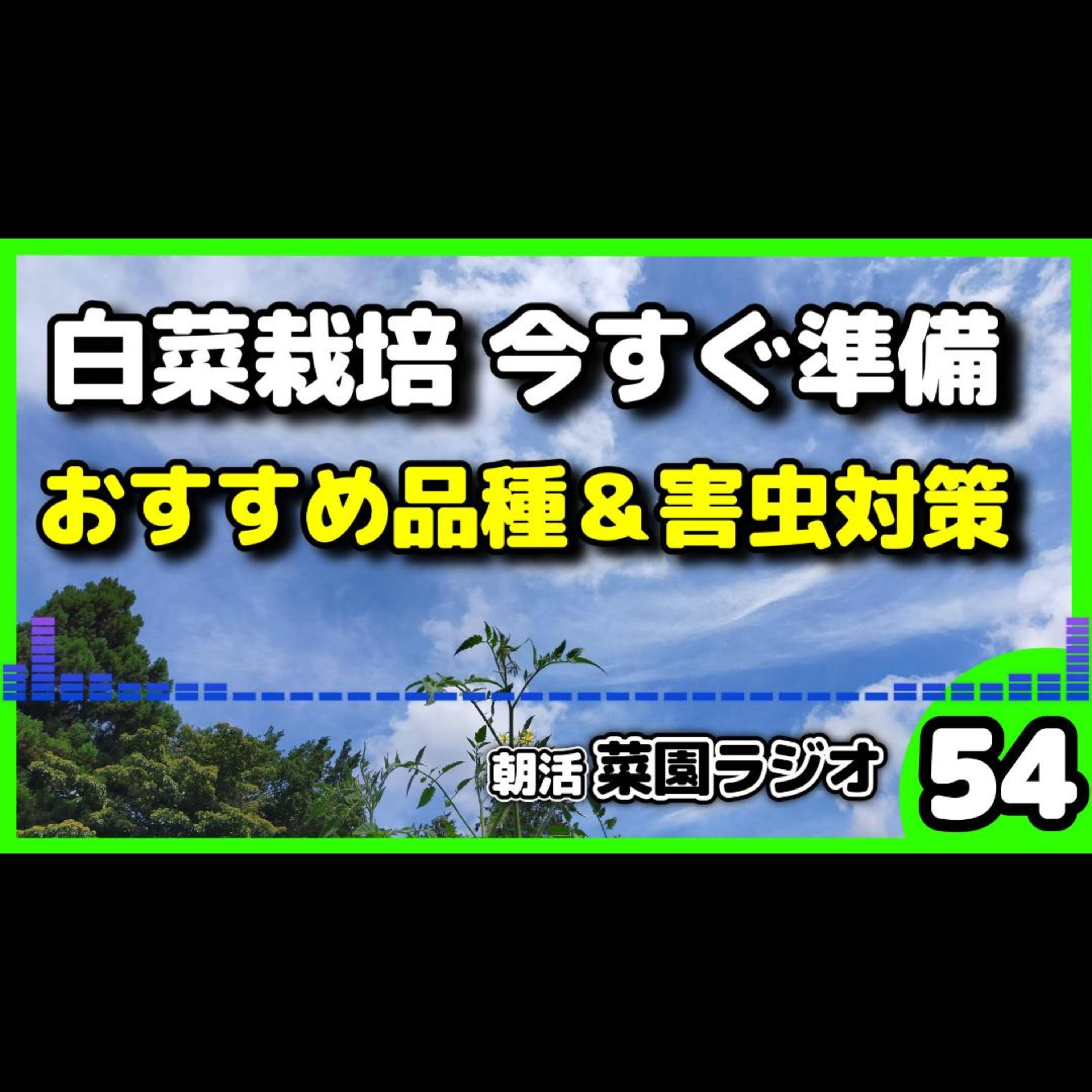 ＜白菜栽培＞どの白菜を選ぶ？初心者おすすめ品種から土作り・害虫対策まで【朝活菜園ラジオ】 episode artwork