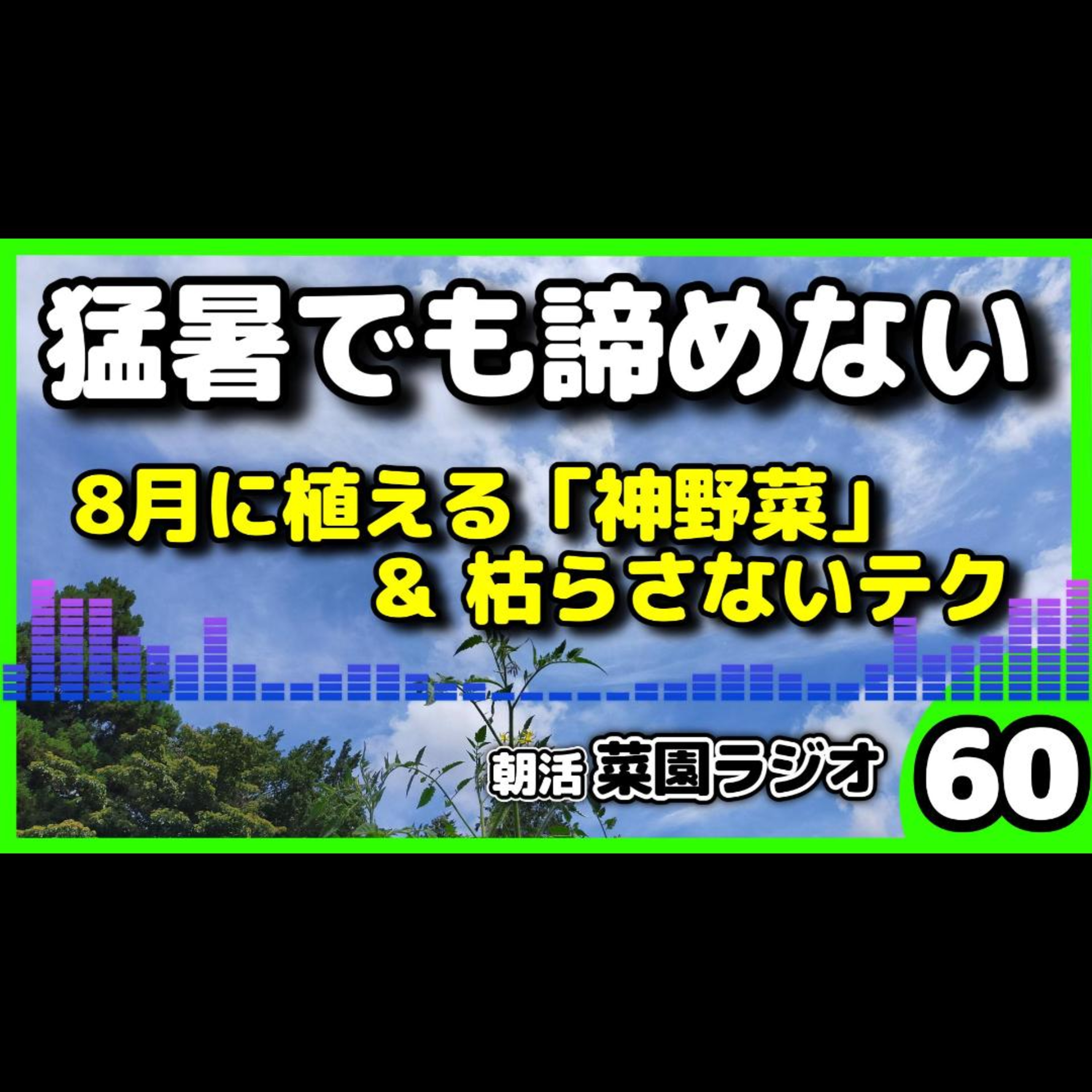 ＜8月植えOK＞猛暑で家庭菜園を諦めるな／100均アレで猛暑を乗り切る「空心菜＆インゲン」定植のリアル【朝活菜園ラジオ】 episode artwork