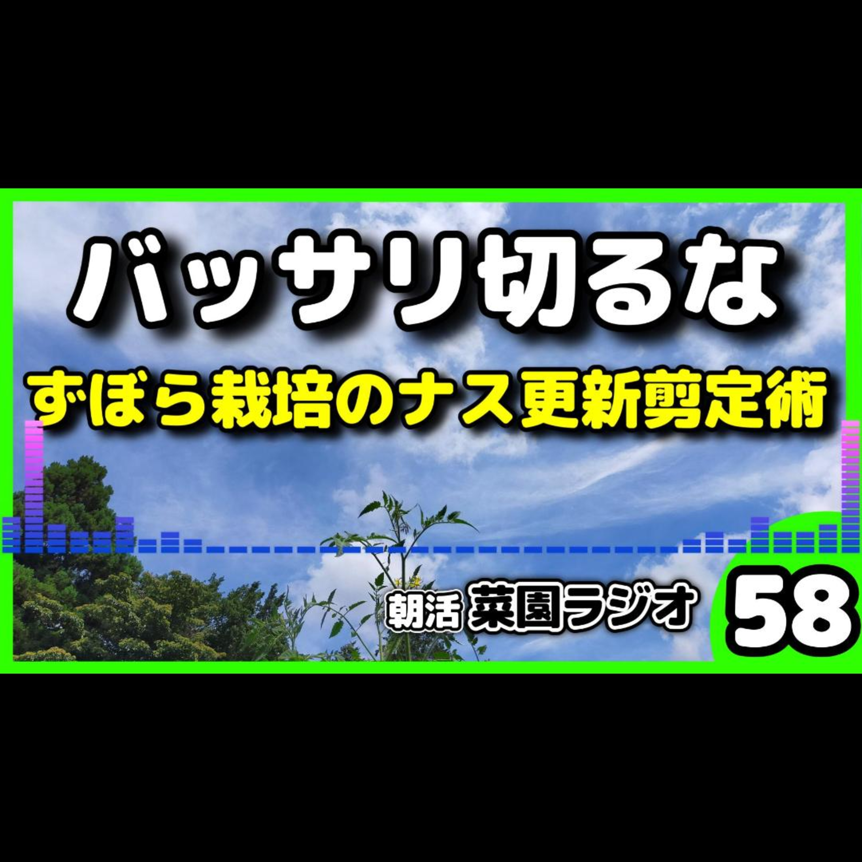 ナス更新剪定の新常識！バッサリ切らない「垂直×放任栽培」で秋まで無限収穫する裏ワザ【朝活菜園ラジオ】 episode artwork