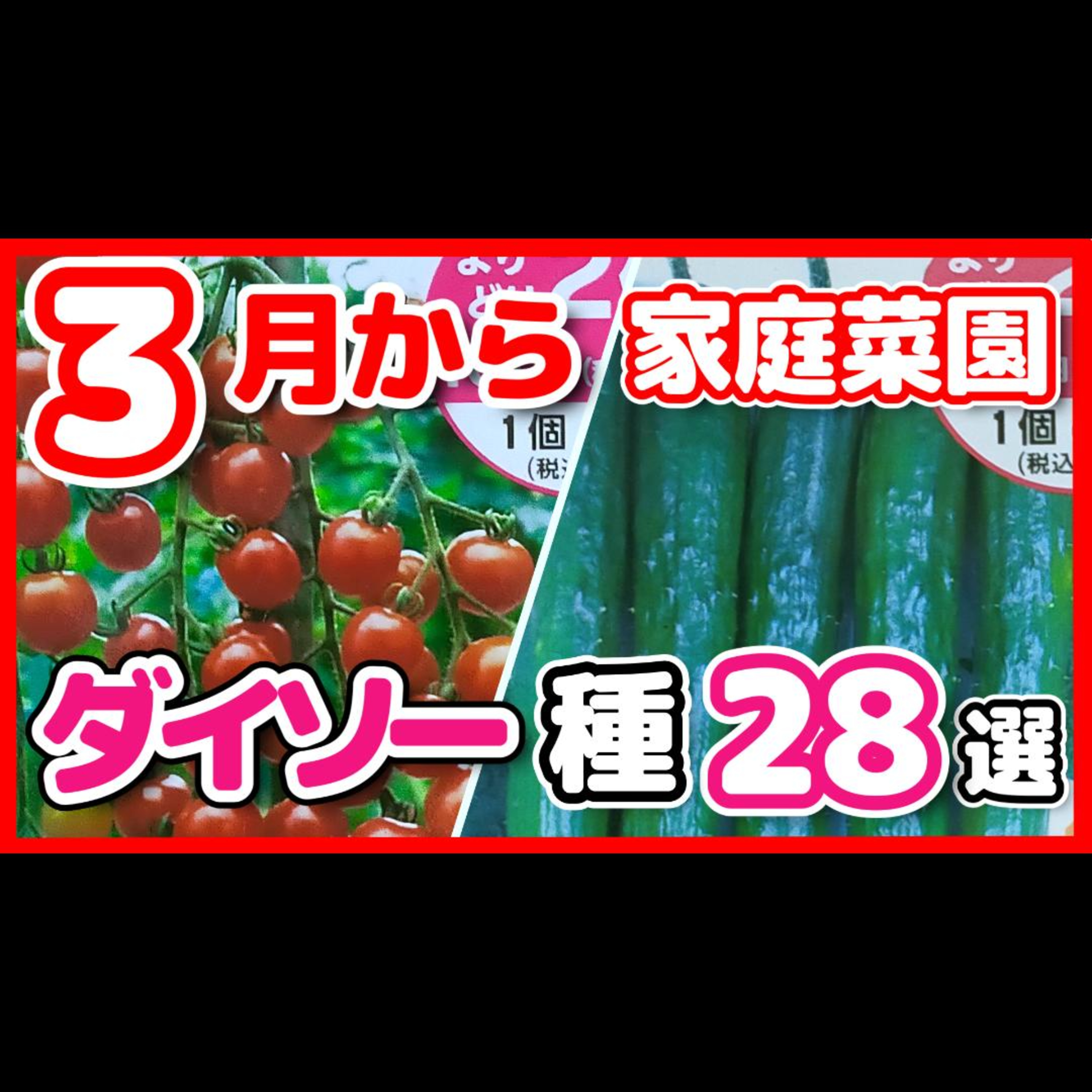 ダイソーの野菜種28選!完全解説【ポッドキャスト】 episode artwork