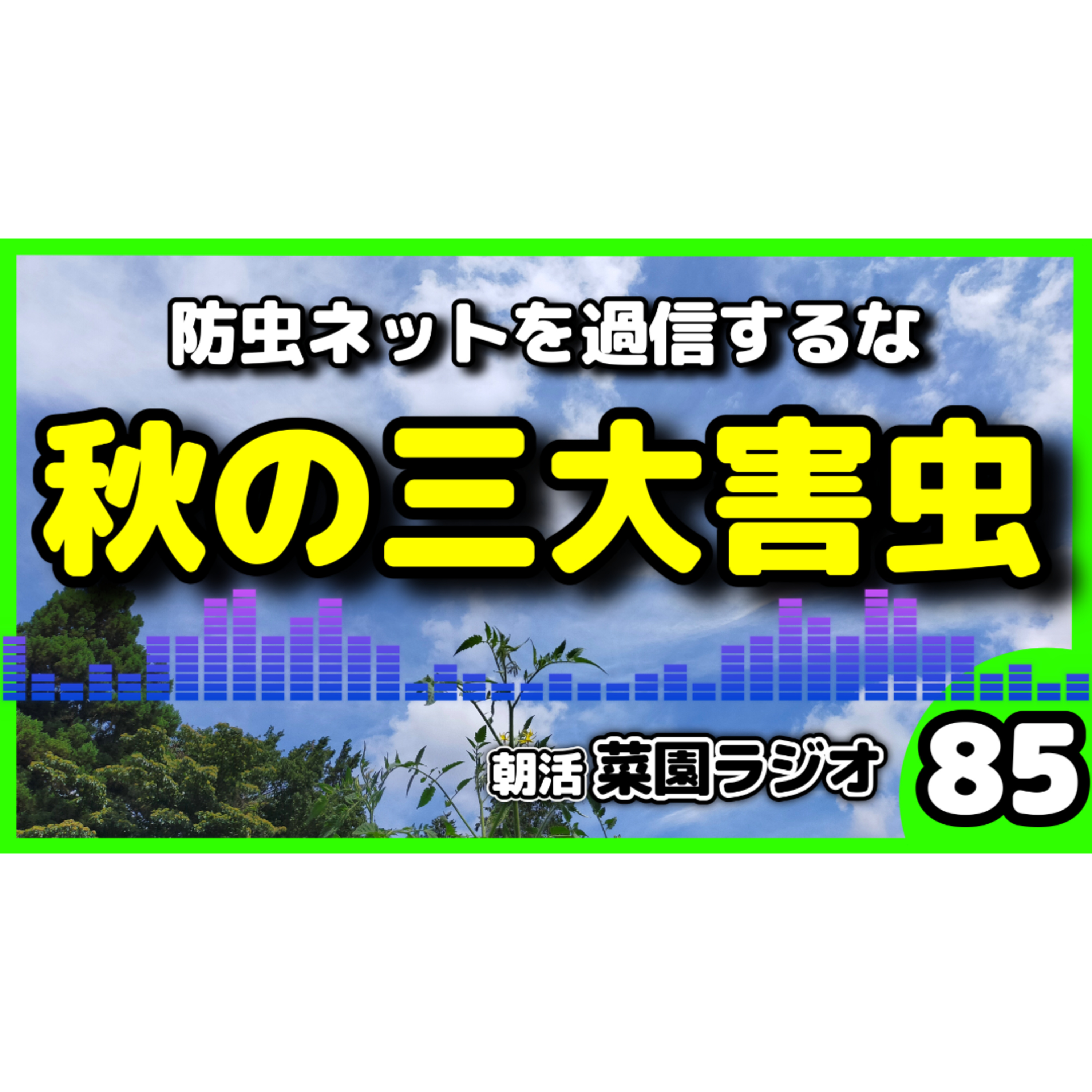 ＜秋の害虫＞白菜やブロッコリーを全滅させる秋の3大害虫と効果的な防除法【朝活菜園ラジオ】 episode artwork