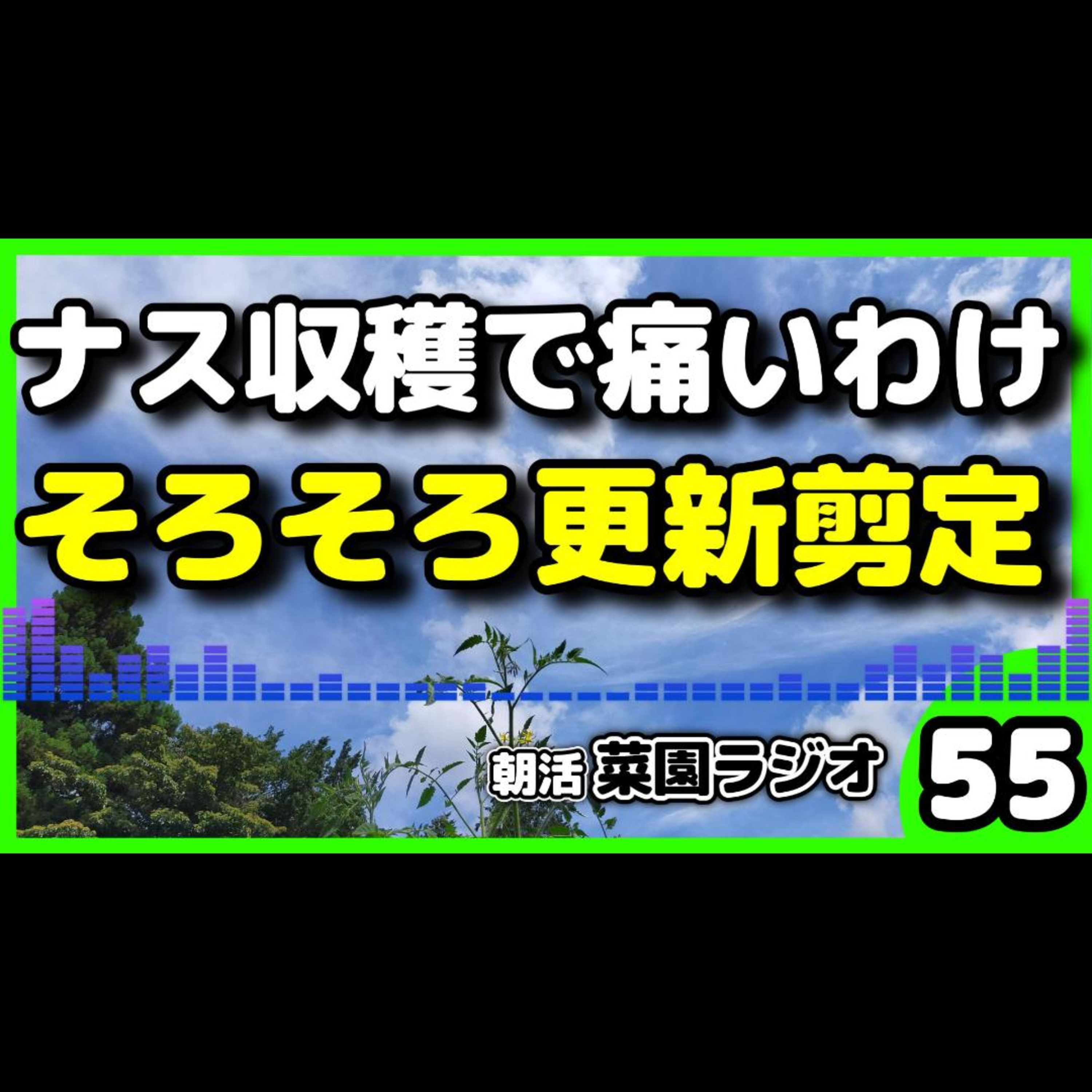 ＜ナスに気を付けよう＞ナスのトゲにご注意！夏の農作業は更新剪定・ずり下ろし・トウモロコシの追肥【朝活菜園ラジオ】 episode artwork