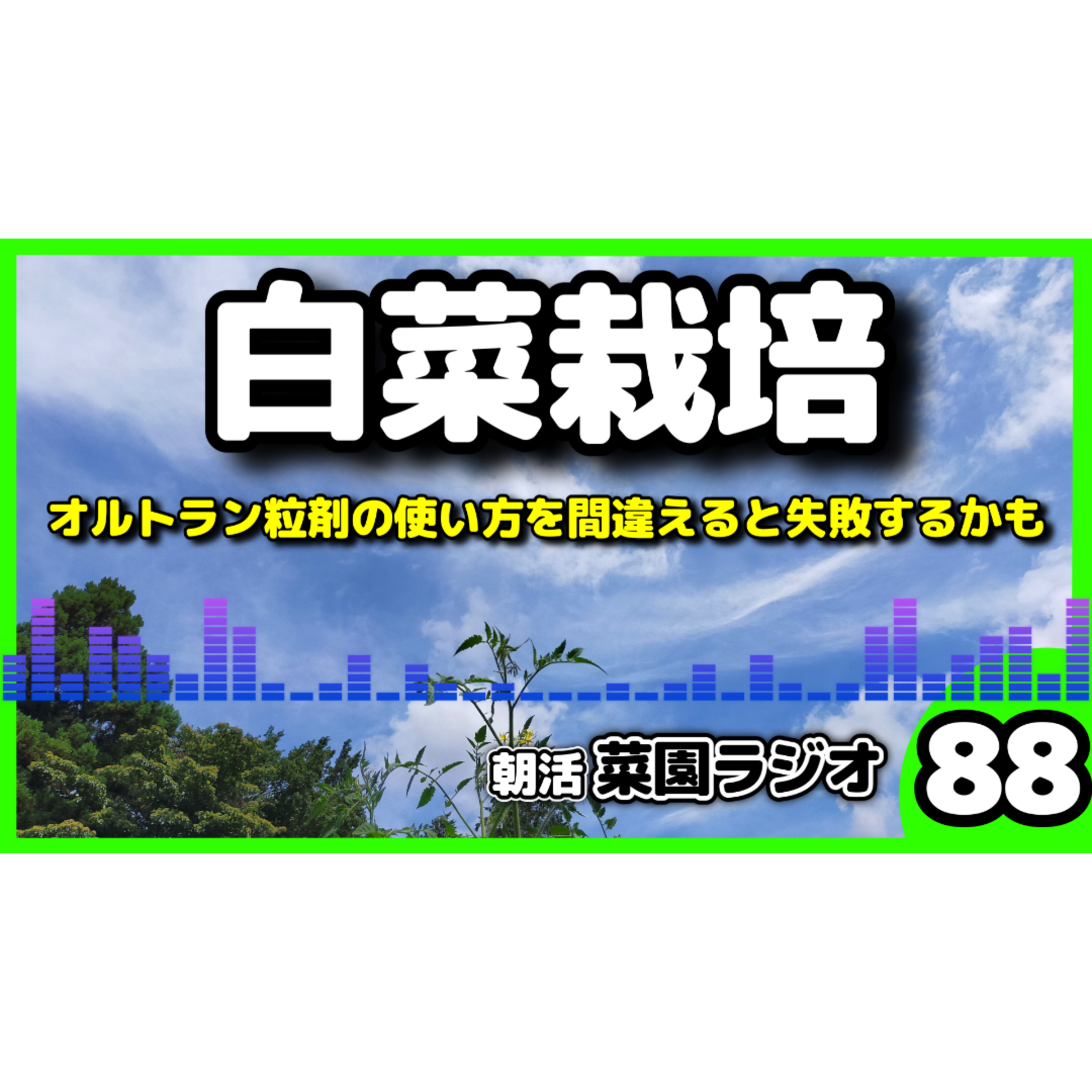 ＜白菜栽培＞オルトランの使い方を間違えると失敗する【朝活菜園ラジオ】 episode artwork
