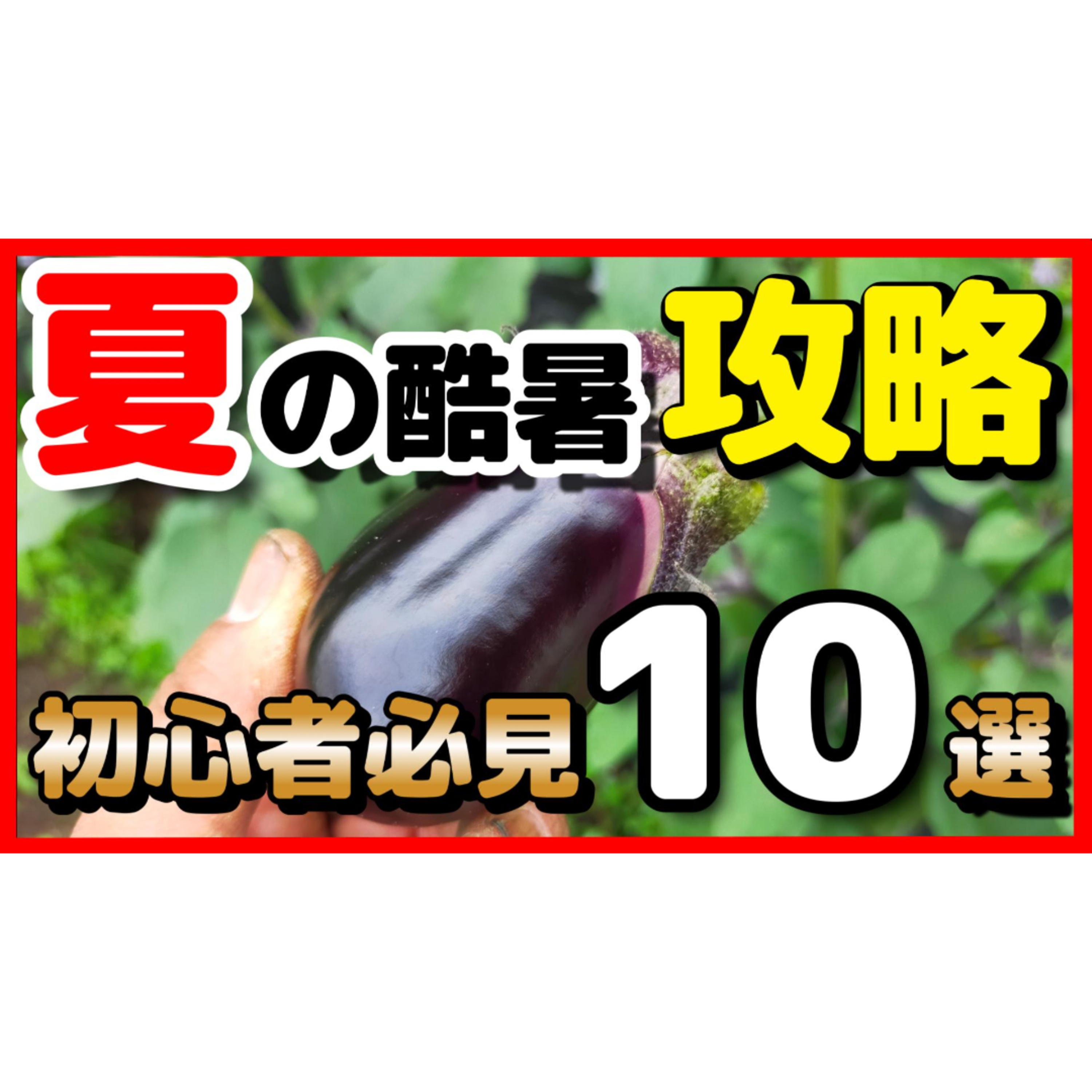 夏の酷暑を乗り切れ!家庭菜園初心者8月攻略10選 episode artwork