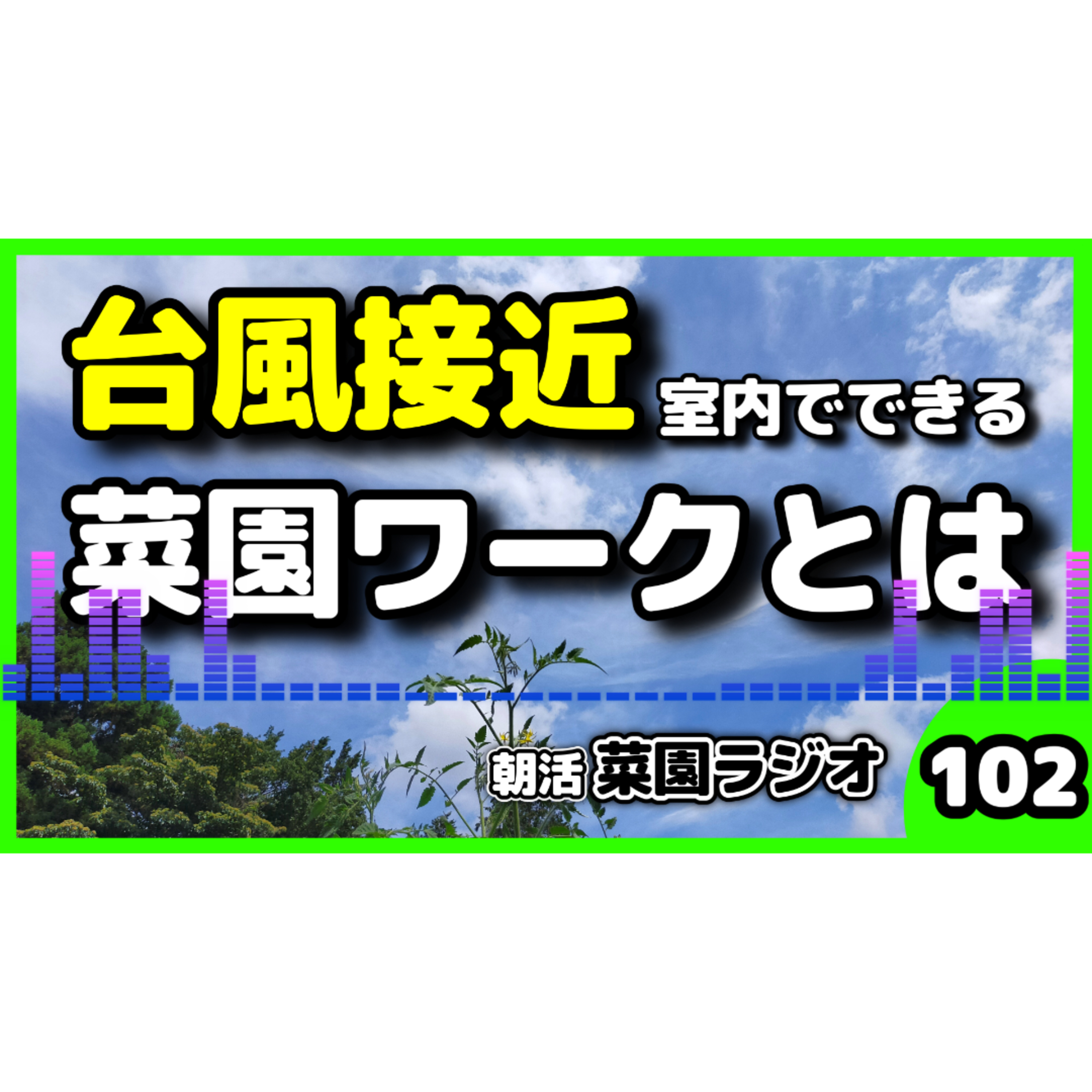 雨の日の休日、家庭菜園好きな人はどう過ごす？【朝活菜園ラジオ】 episode artwork