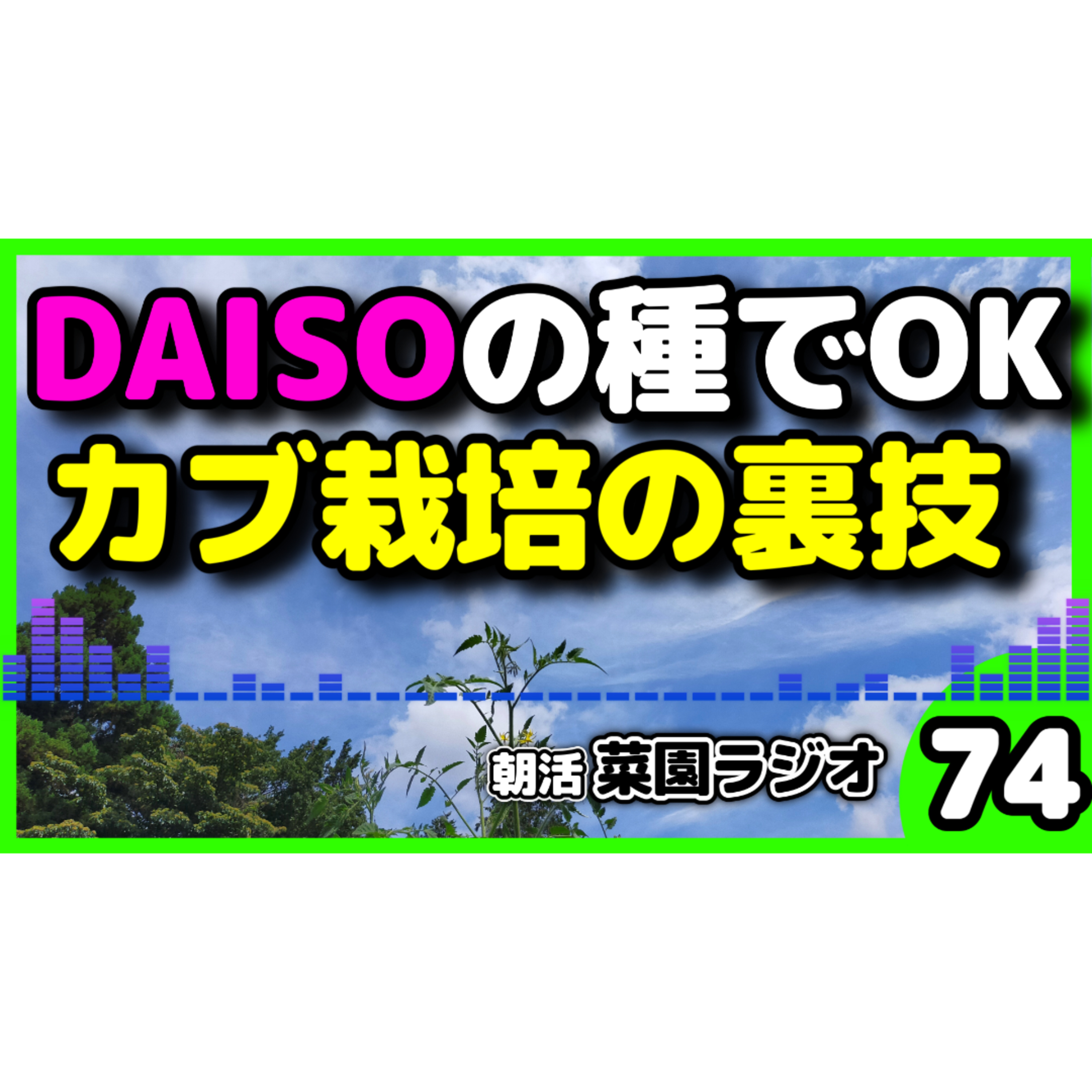 ＜カブ栽培＞間引き不要＆100均の種で大収穫 9月から始める「ずらし栽培」とおすすめ品種4選【朝活菜園ラジオ】 episode artwork