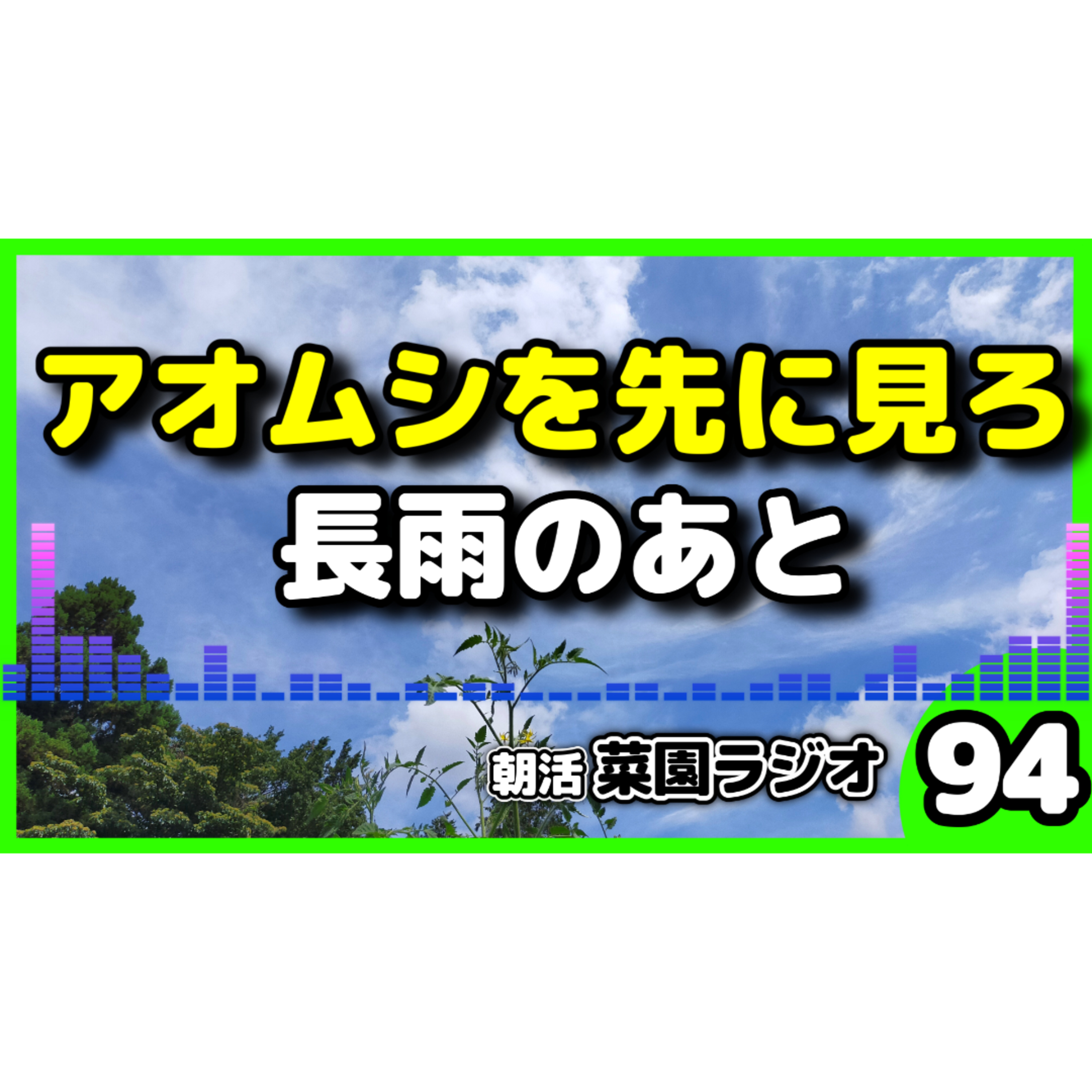 長雨のあと、アオムシを先に見ろ！【朝活菜園ラジオ】 episode artwork