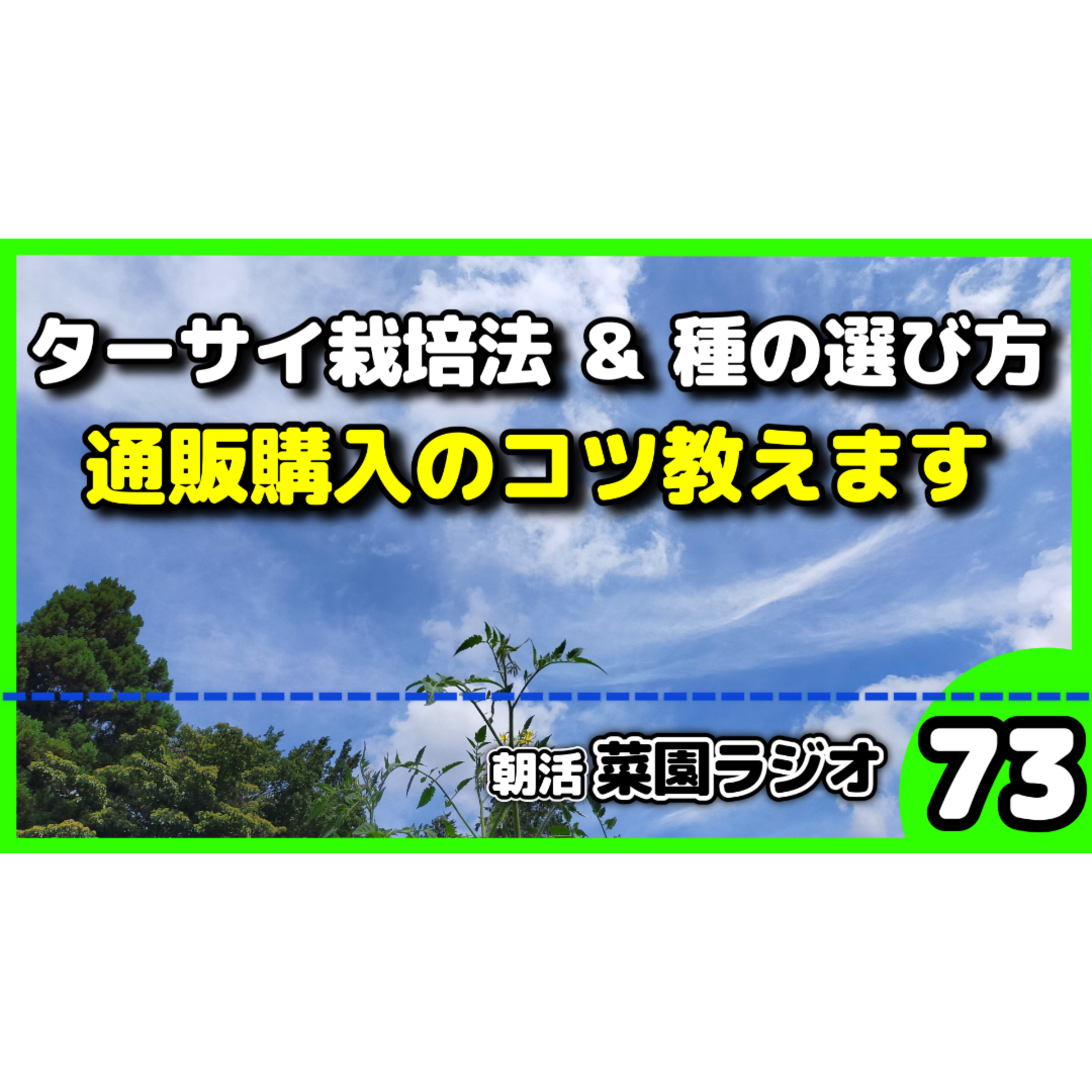 ＜冬の絶品野菜＞タアサイ栽培のコツ＆ネットで種を安く買う裏ワザ【朝活菜園ラジオ】 episode artwork