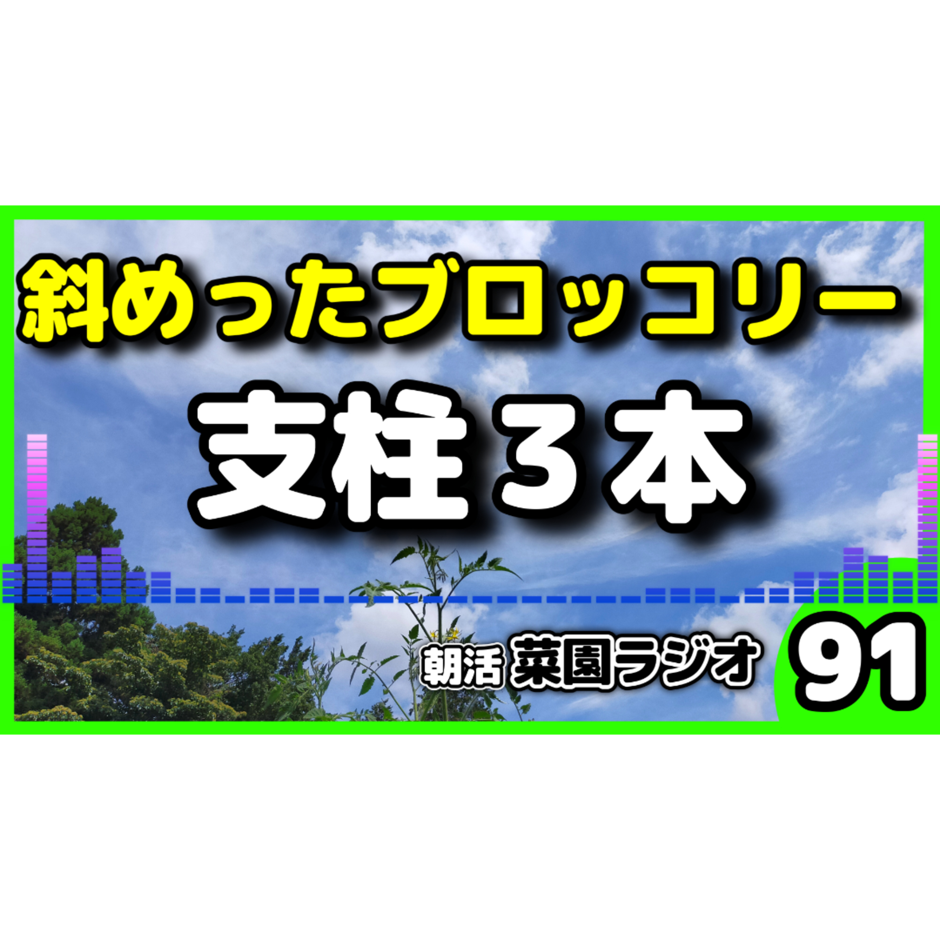 やってる？斜めのブロッコリーに支柱を3本【朝活菜園ラジオ】 episode artwork