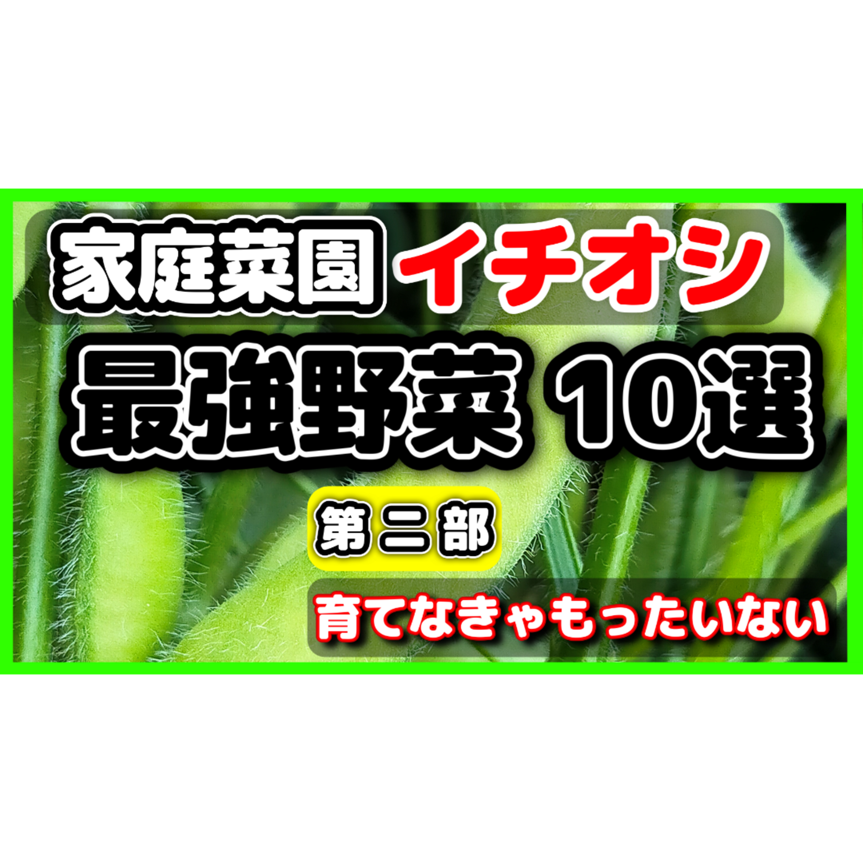 【初心者向け完全ガイド】家庭菜園で絶対に作るべき「最強野菜」10選・第2部（ナス・ピーマン・ブロッコリー・枝豆編） episode artwork