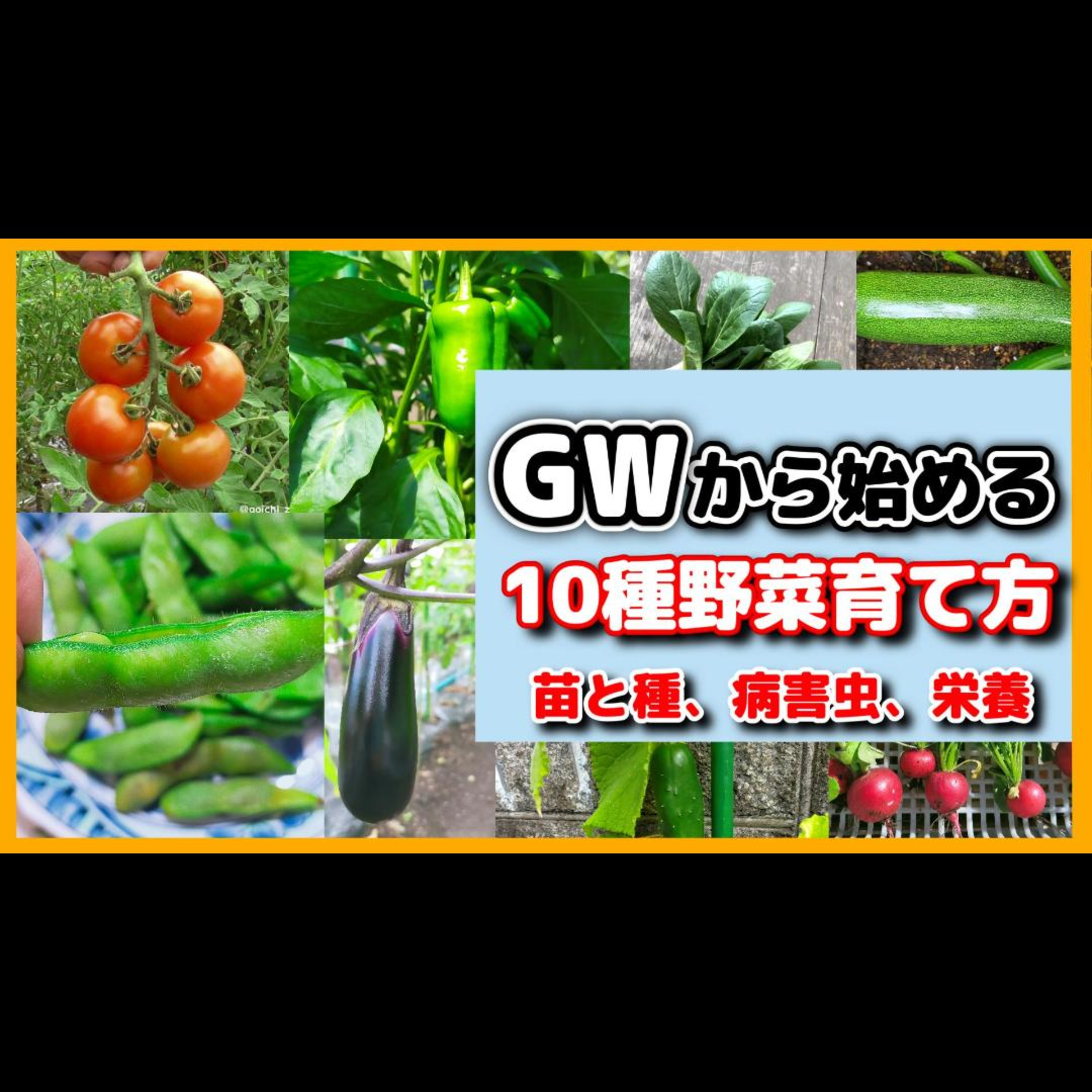 ゴールデンウィークから始める野菜10品の育て方秘訣 episode artwork