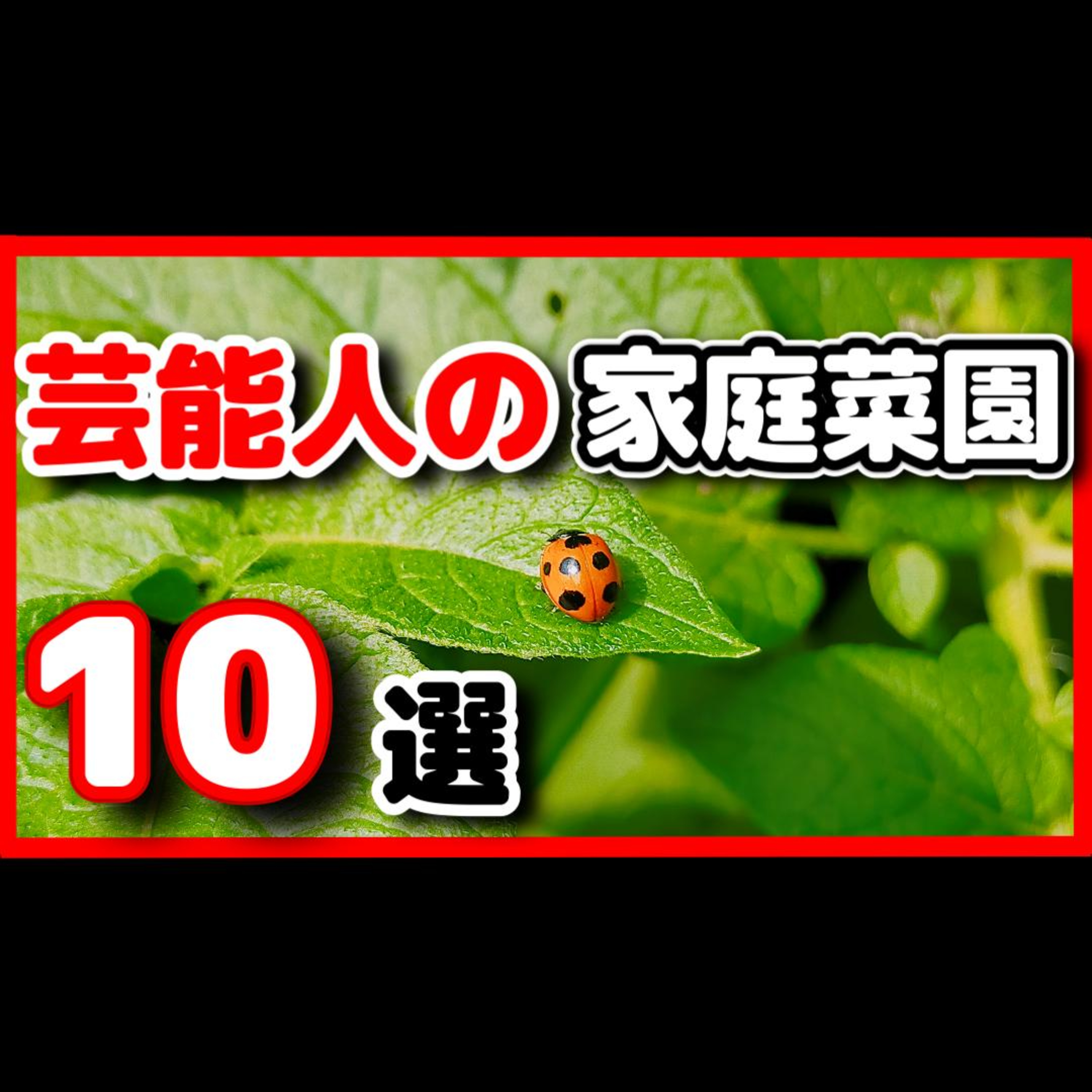 芸能人で家庭菜園をやっている方10選2026年版 episode artwork