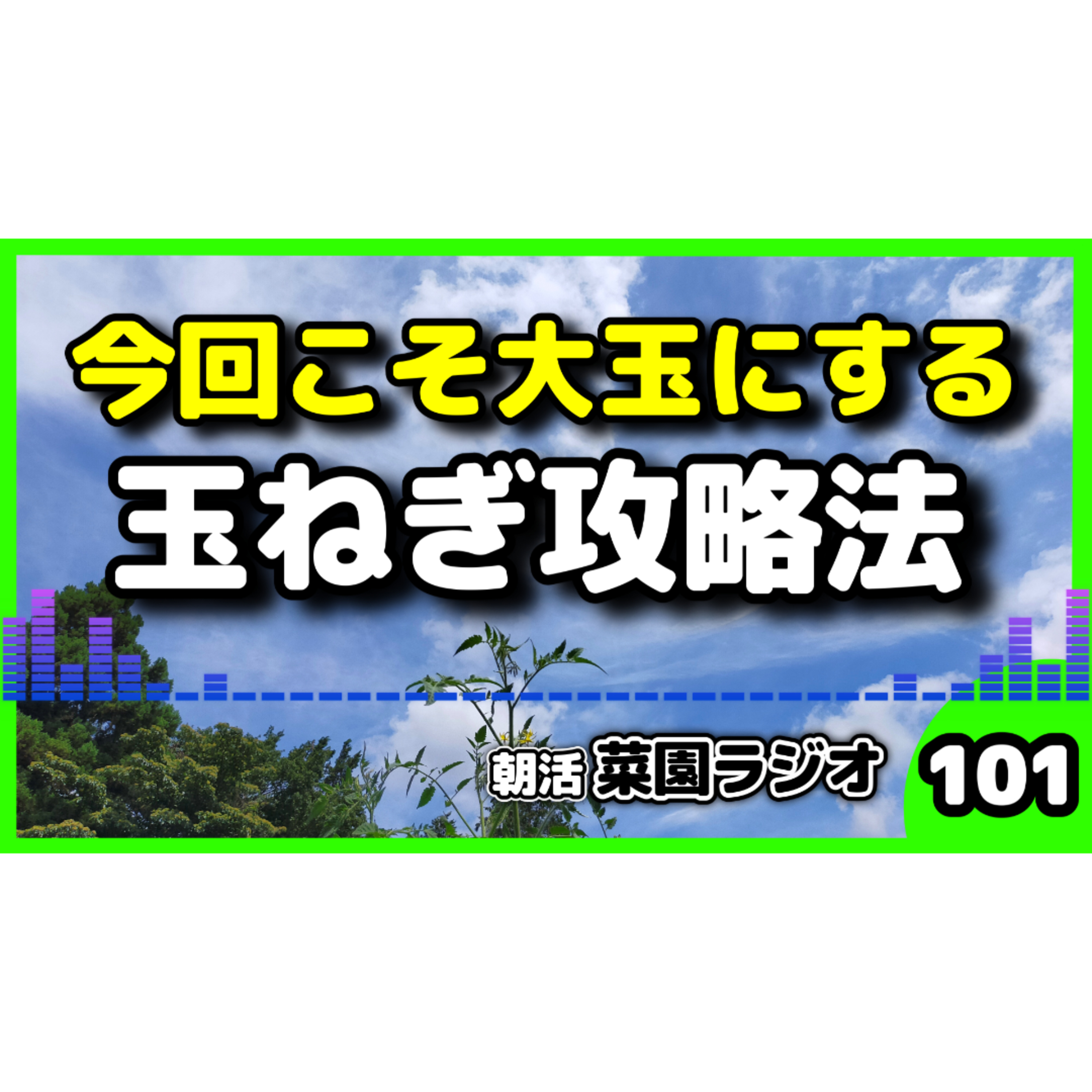 ＜玉ねぎ栽培＞苗の太さから追肥までのポイント【朝活菜園ラジオ】 episode artwork