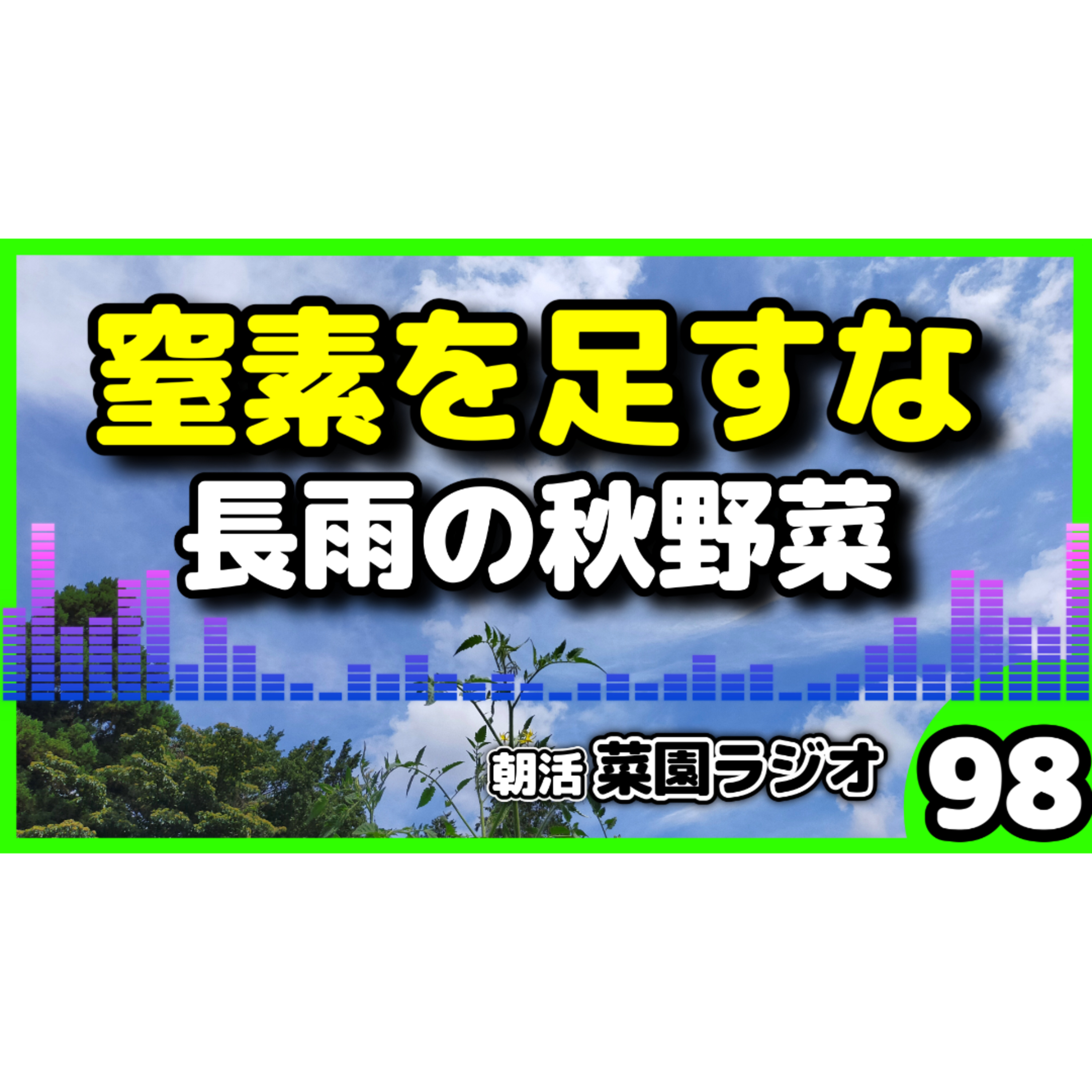 長雨の秋野菜は、窒素を足すな【朝活菜園ラジオ】 episode artwork