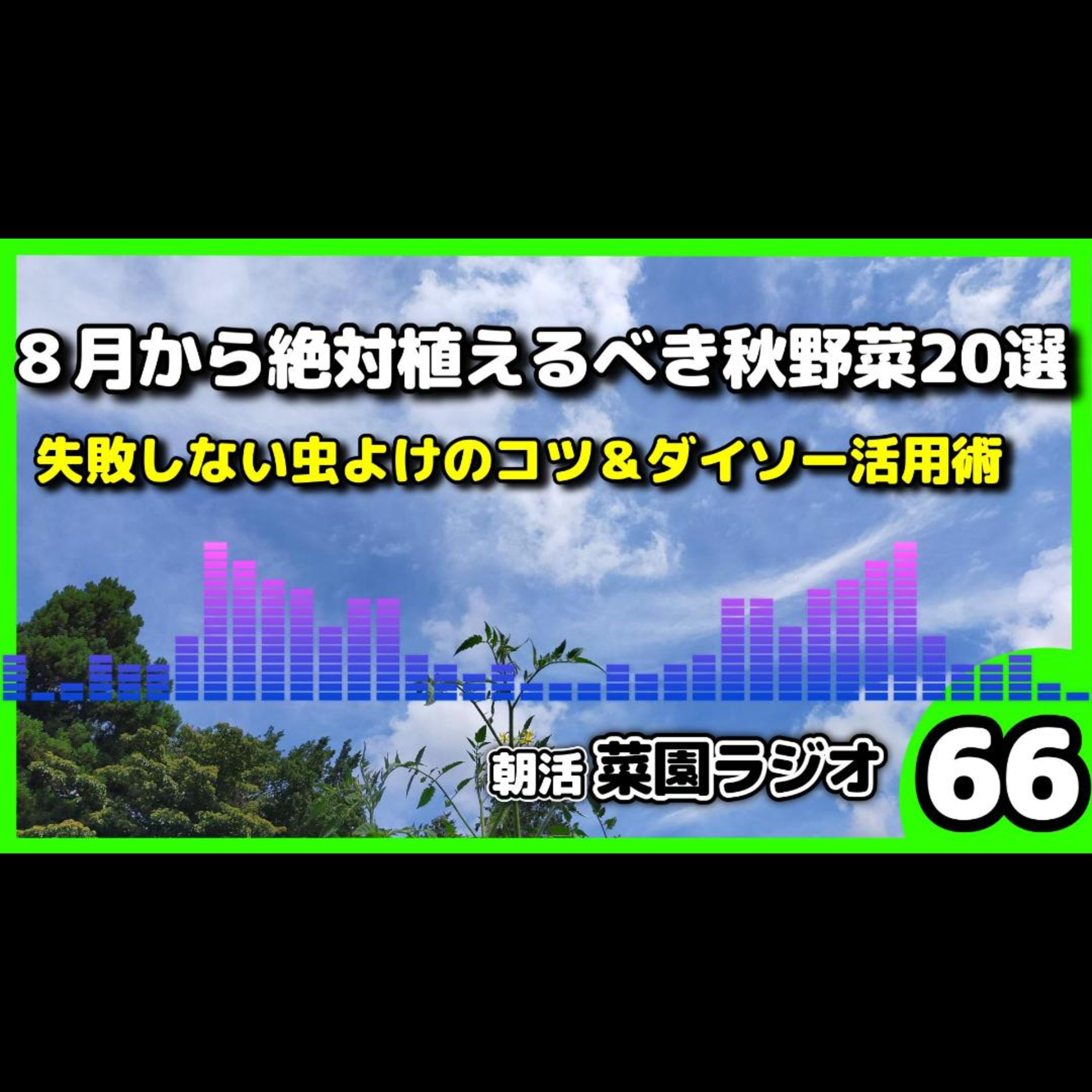 ＜秋野菜20選＞8月・9月に植えないと後悔する野菜と失敗しない害虫対策【朝活菜園ラジオ】 episode artwork