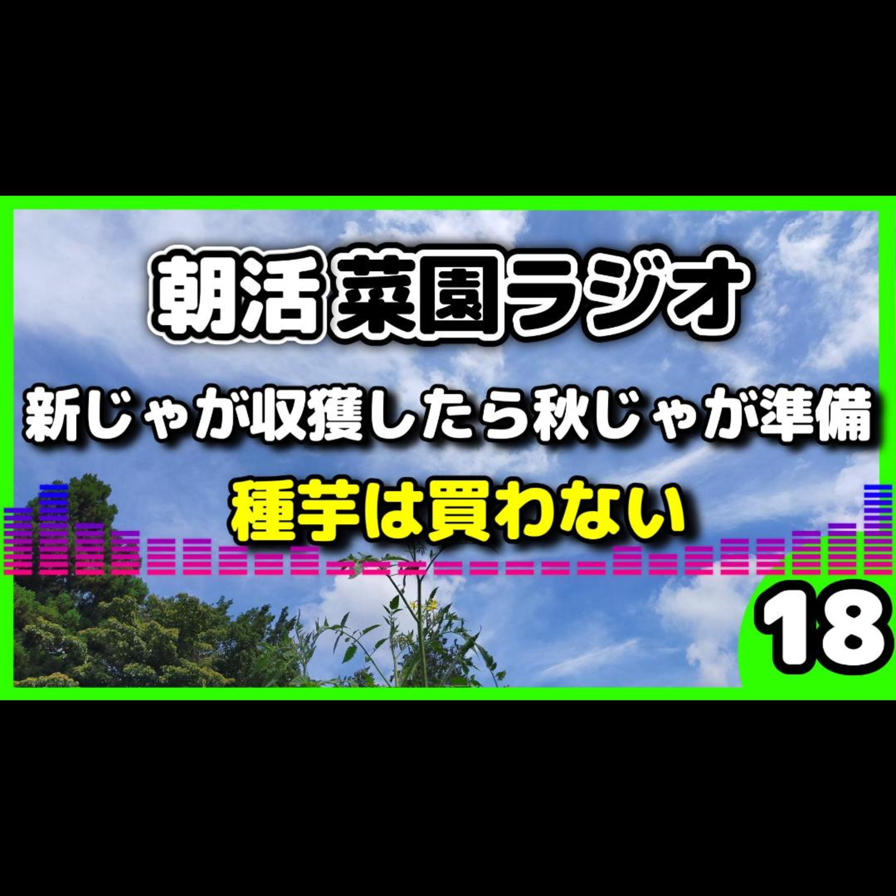 昨年は北海道産のじゃがいもが高騰、家庭菜園ならじゃがいもは無限ループ『ごいち流』栽培・保存術【朝活菜園ラジオ】 episode artwork
