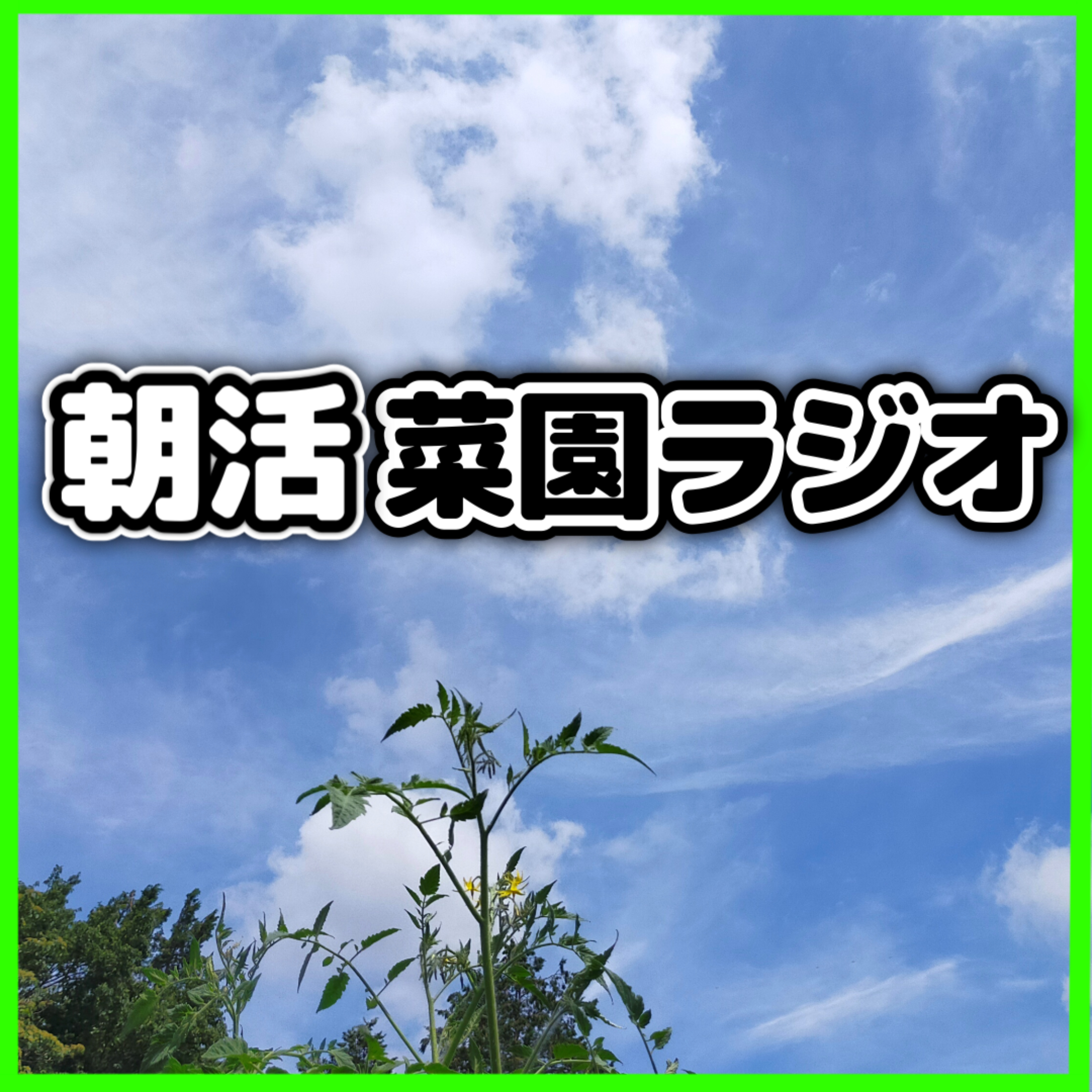 ＜野菜ソムリエが語るシイタケ＆シメジの栄養学＞自家栽培キットの魅力と秋野菜の種まき計画【朝活菜園ラジオ】 episode artwork