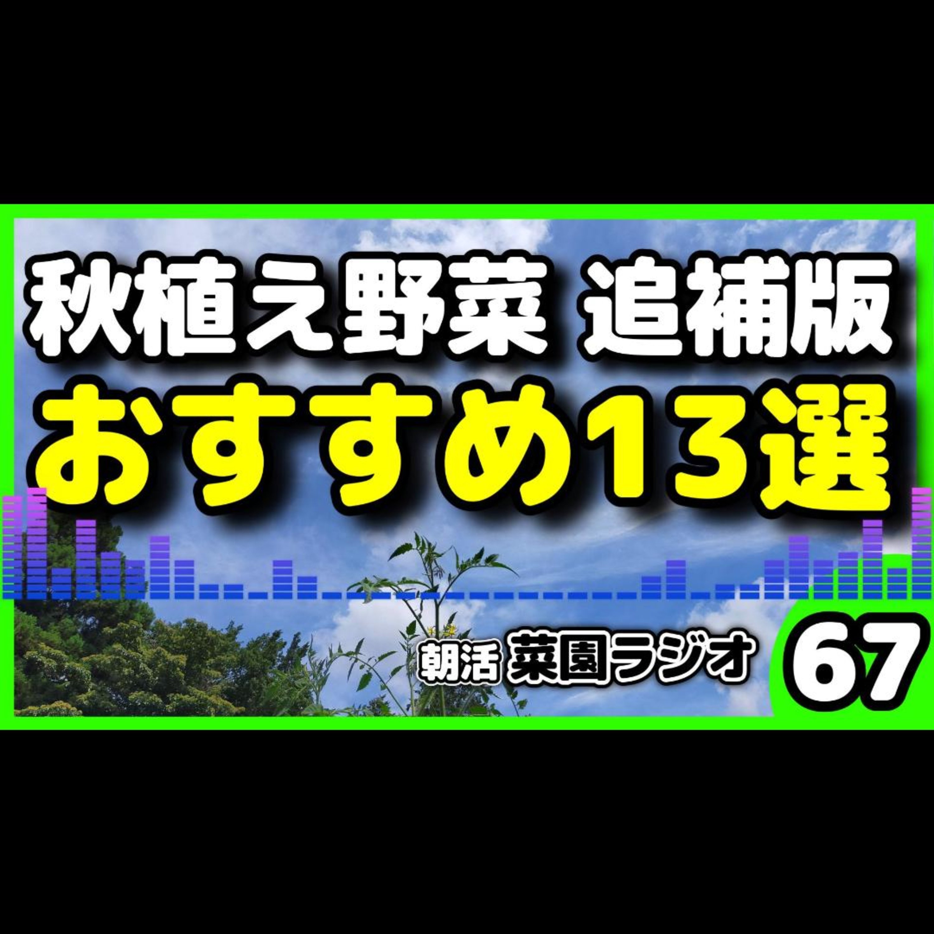 ＜忘れちゃダメな野菜＞秋から育てるべき野菜 追加13選！ほうれん草・ターサイ・パクチーまで一挙解説【朝活菜園ラジオ】 episode artwork