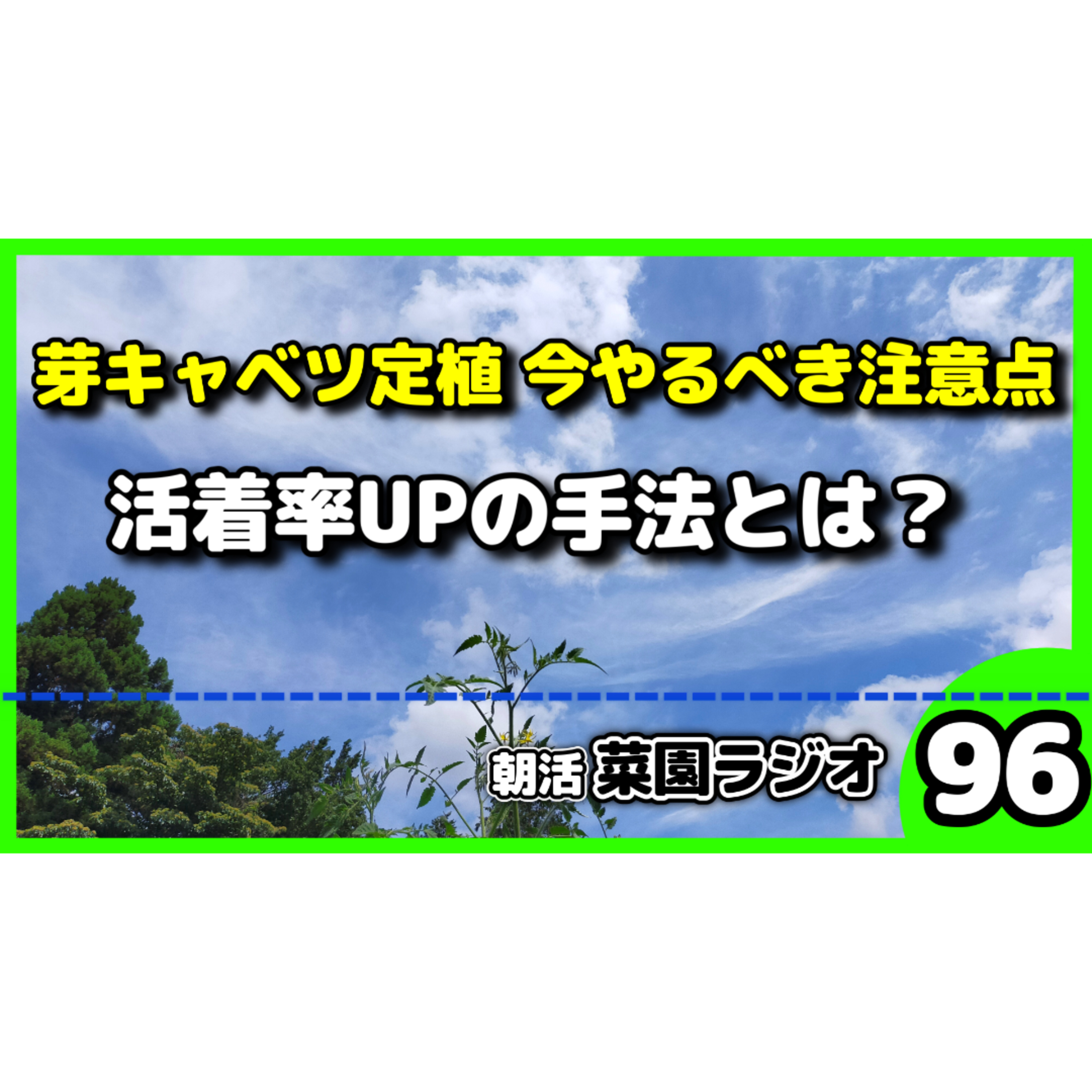 芽キャベツを定植したら？注意点はコレだ【朝活菜園ラジオ】 episode artwork