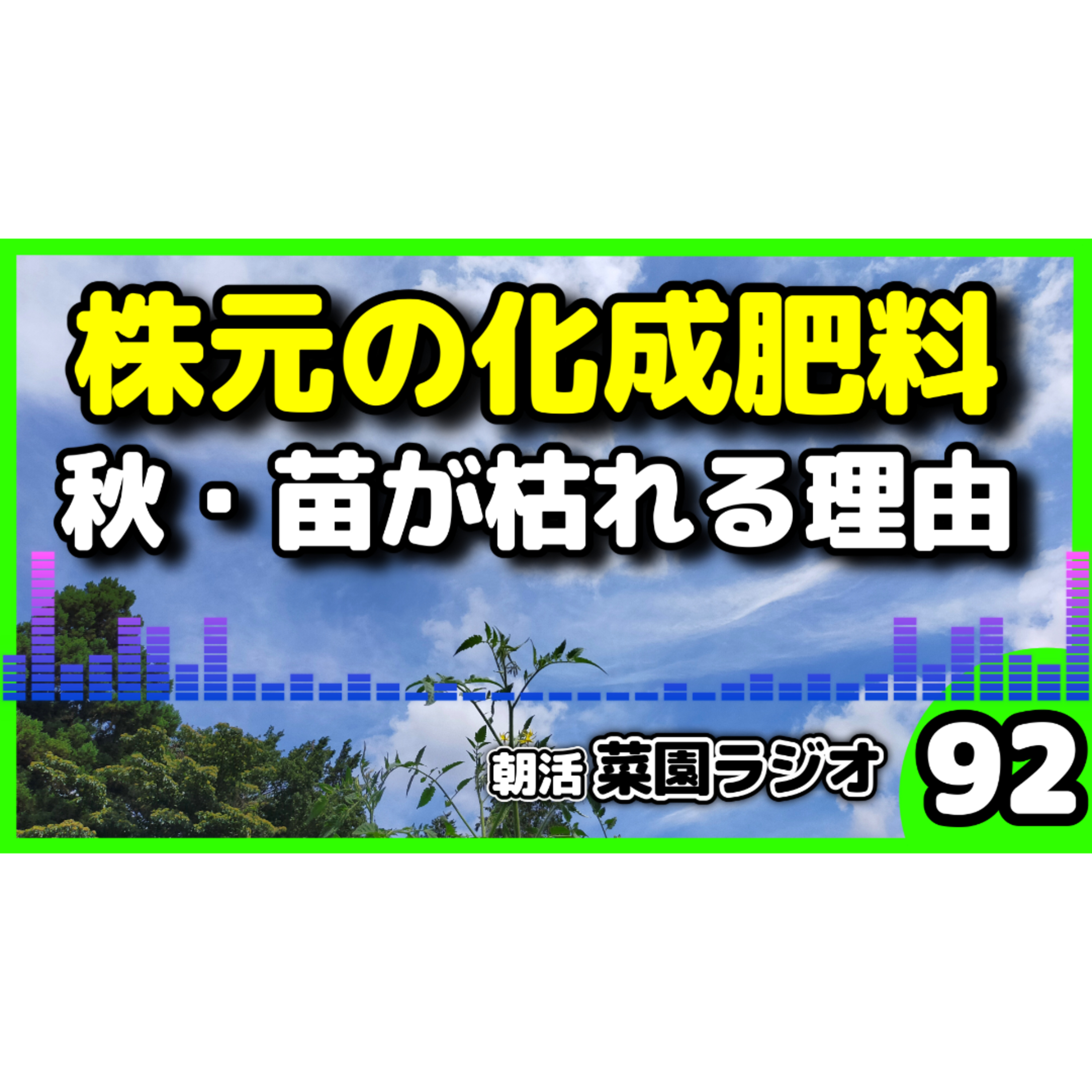 秋野菜は、株元に化成肥料を入れるな【朝活菜園ラジオ】 episode artwork