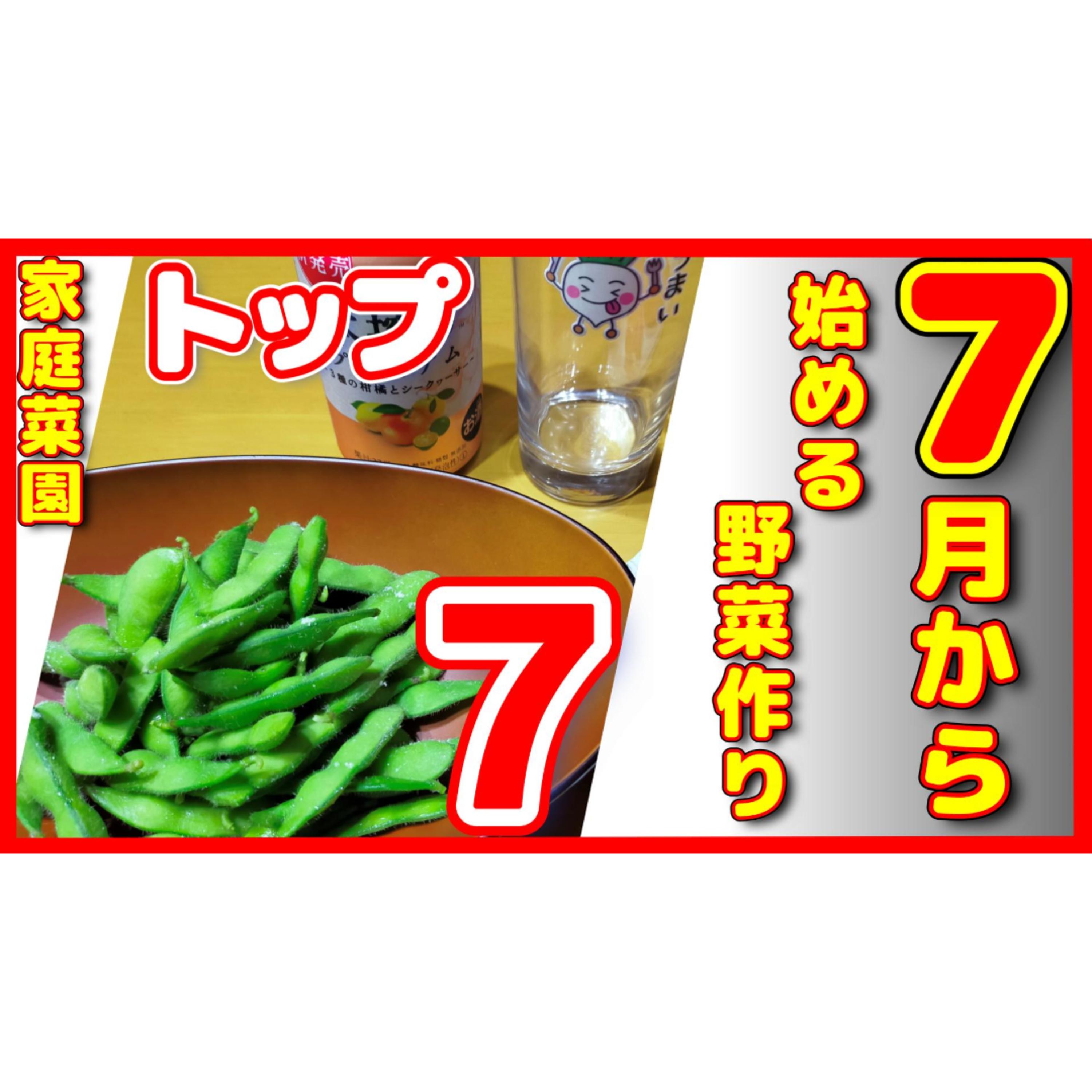 7月から家庭菜園を始める野菜トップ7!暑いけど上手に育てる episode artwork