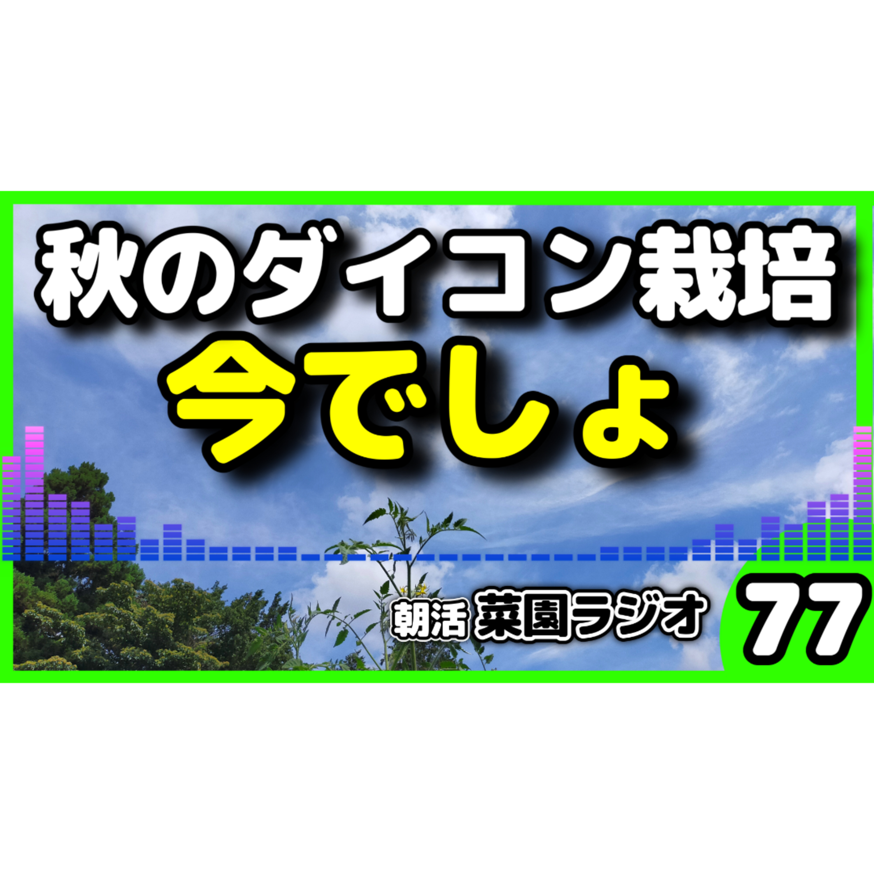 ＜秋冬野菜の王様＞今から始めるダイコン栽培の基本と失敗しないコツ【朝活菜園ラジオ】 episode artwork