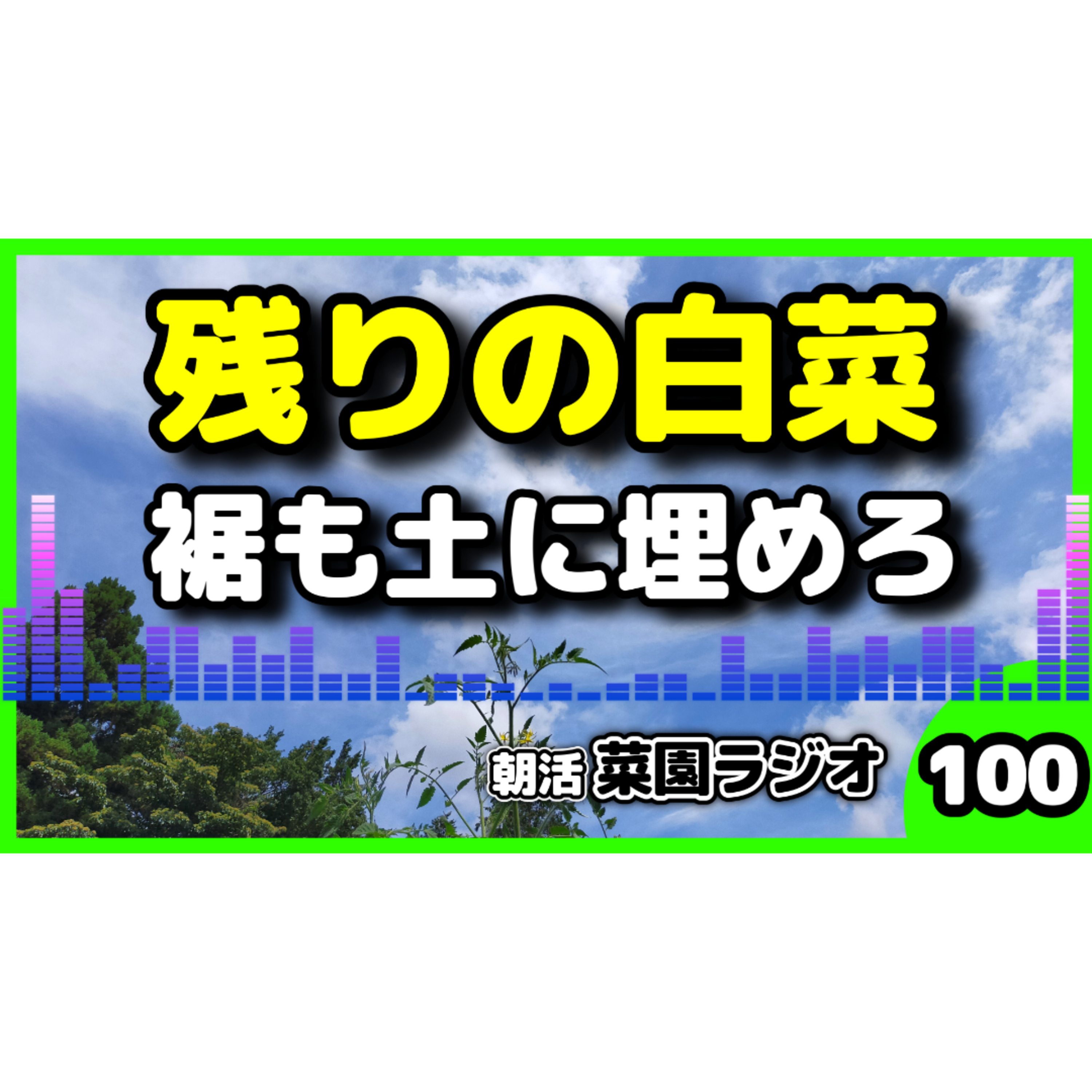 残りの白菜を定植して、裾を土に埋めろ【朝活菜園ラジオ】 episode artwork